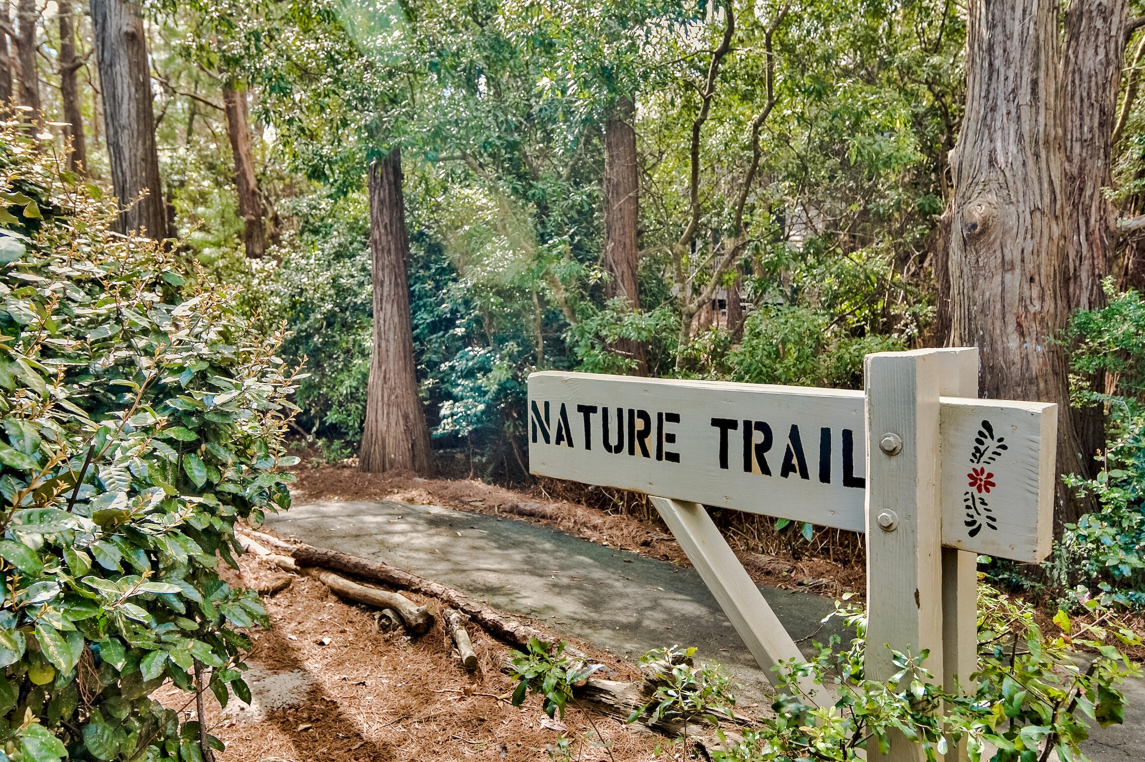 CASSINE GARDENS T/H PH 4 - Residential