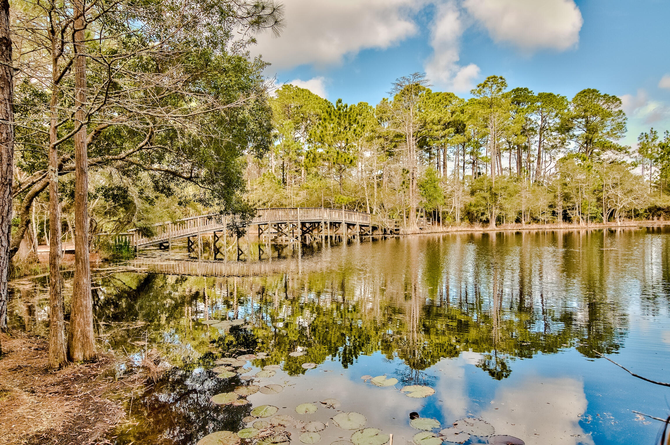CASSINE GARDENS T/H PH 4 - Residential
