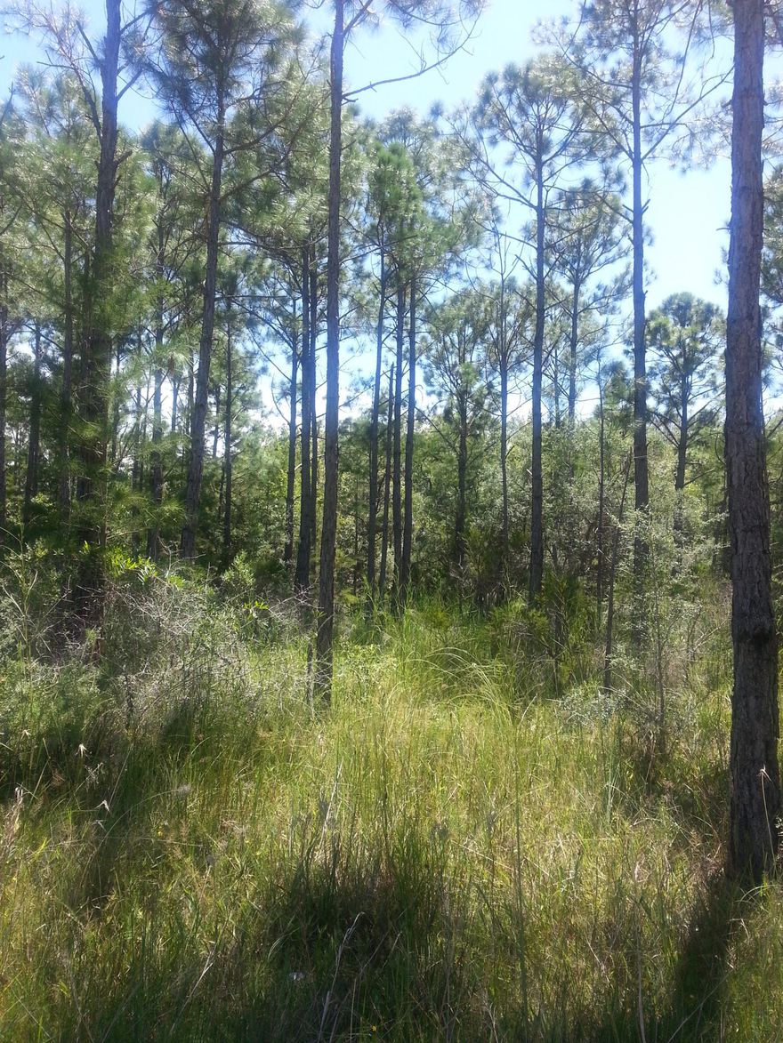OVER A HALF AN ACRE IN A GREAT NEIGHBORHOOD. LOCATED JUST WEST OF NAVARRE AND A FEW BLOCKS FROM WOODLAWN SCHOOL. A GREAT PLACE TO BUILD YOUR DREAM HOME. NO HOA.