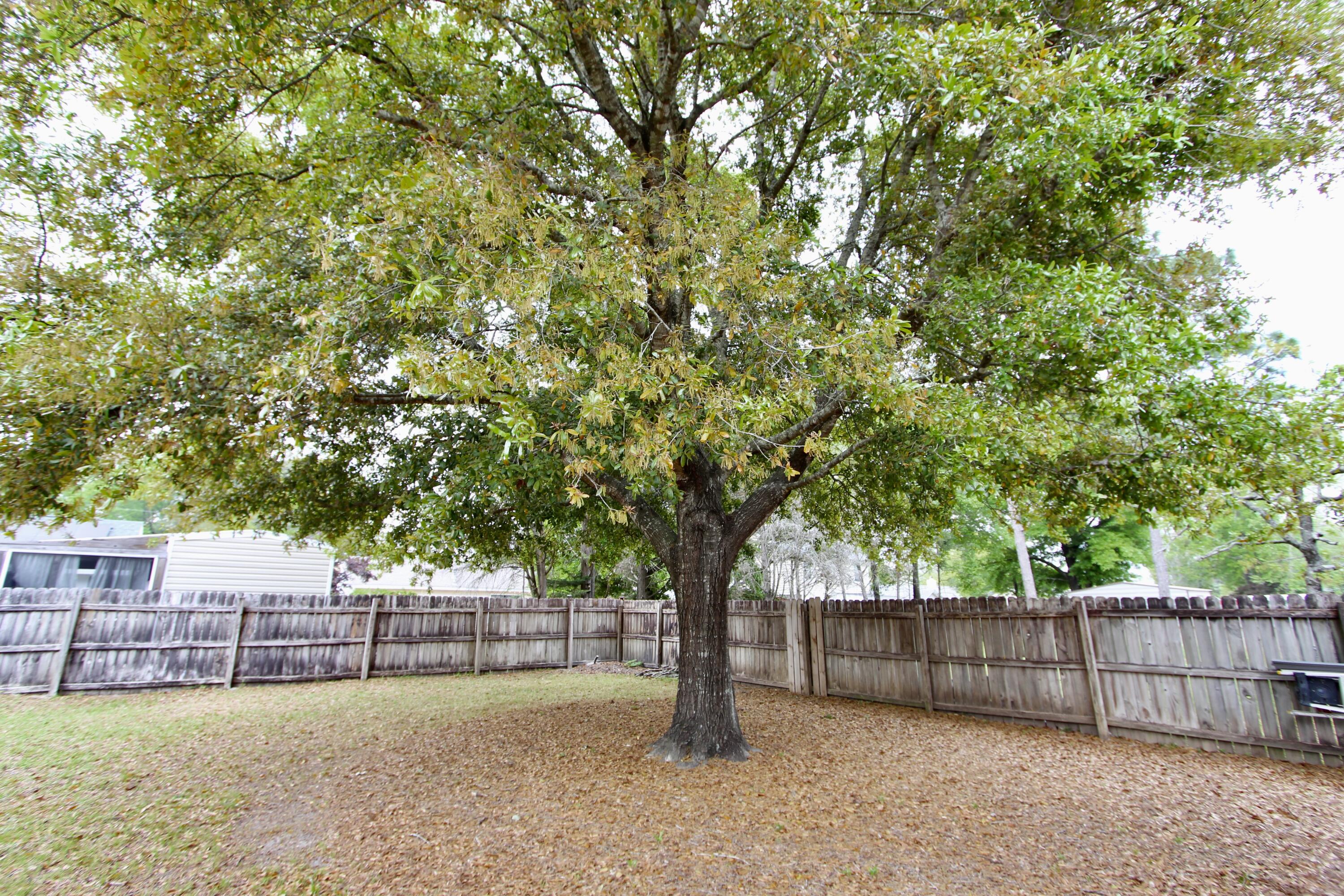 STEEPLECHASE PH 1 - Residential