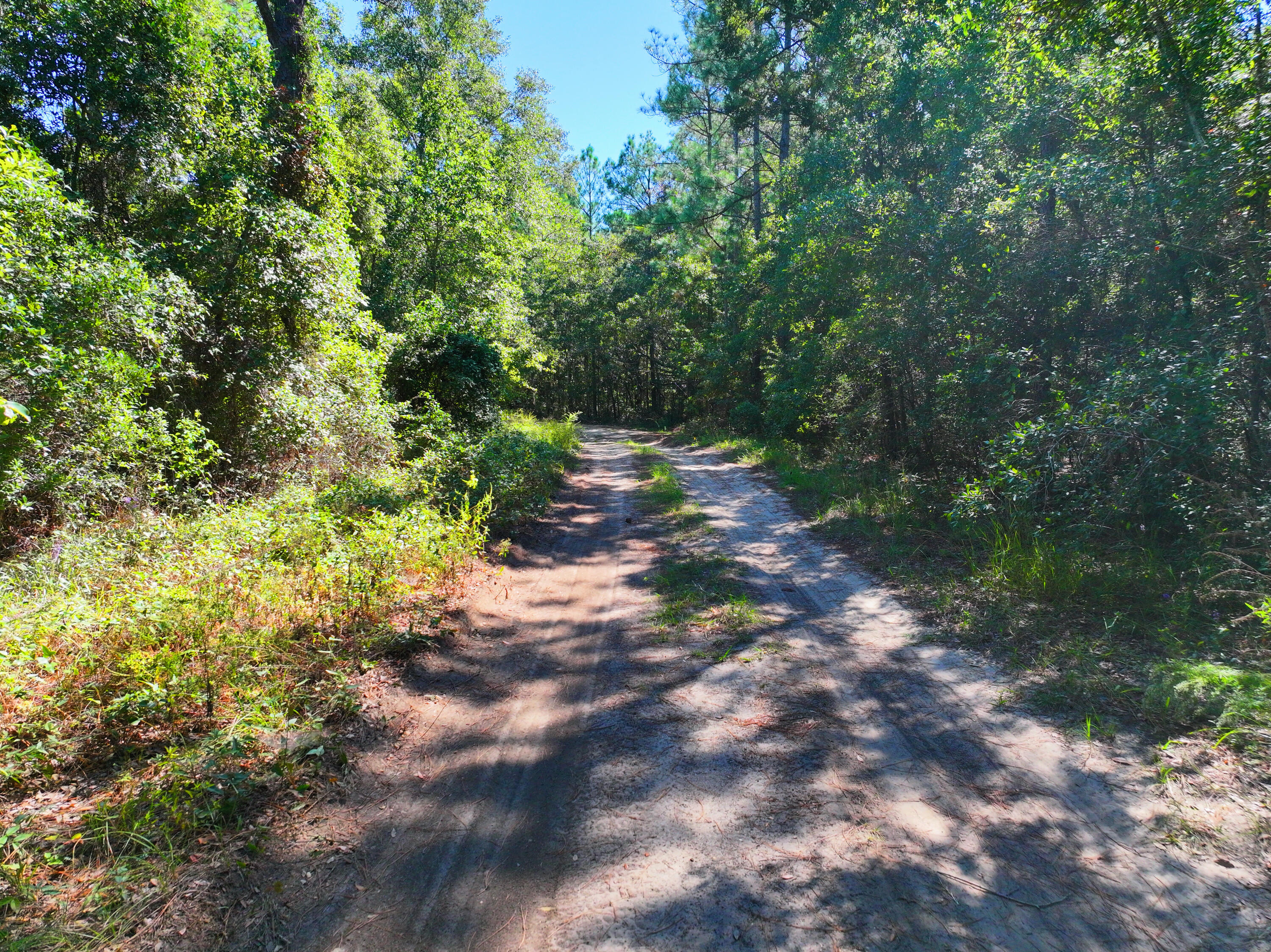 Opportunity awaits with this beautiful homesite tucked inside the established Harbour Oaks community. This parcel offers a generous footprint of nearly half an acre, creating the perfect canvas for your custom build or long-term investment. Enjoy paved road access, underground utilities, and an appealing setting surrounded by quality homes. Whether you're ready to start construction or invest in land for the future, this lot combines value and potential in one desirable package.Buyer to verify all measurements, acreage, and any pertinent details during due diligence.