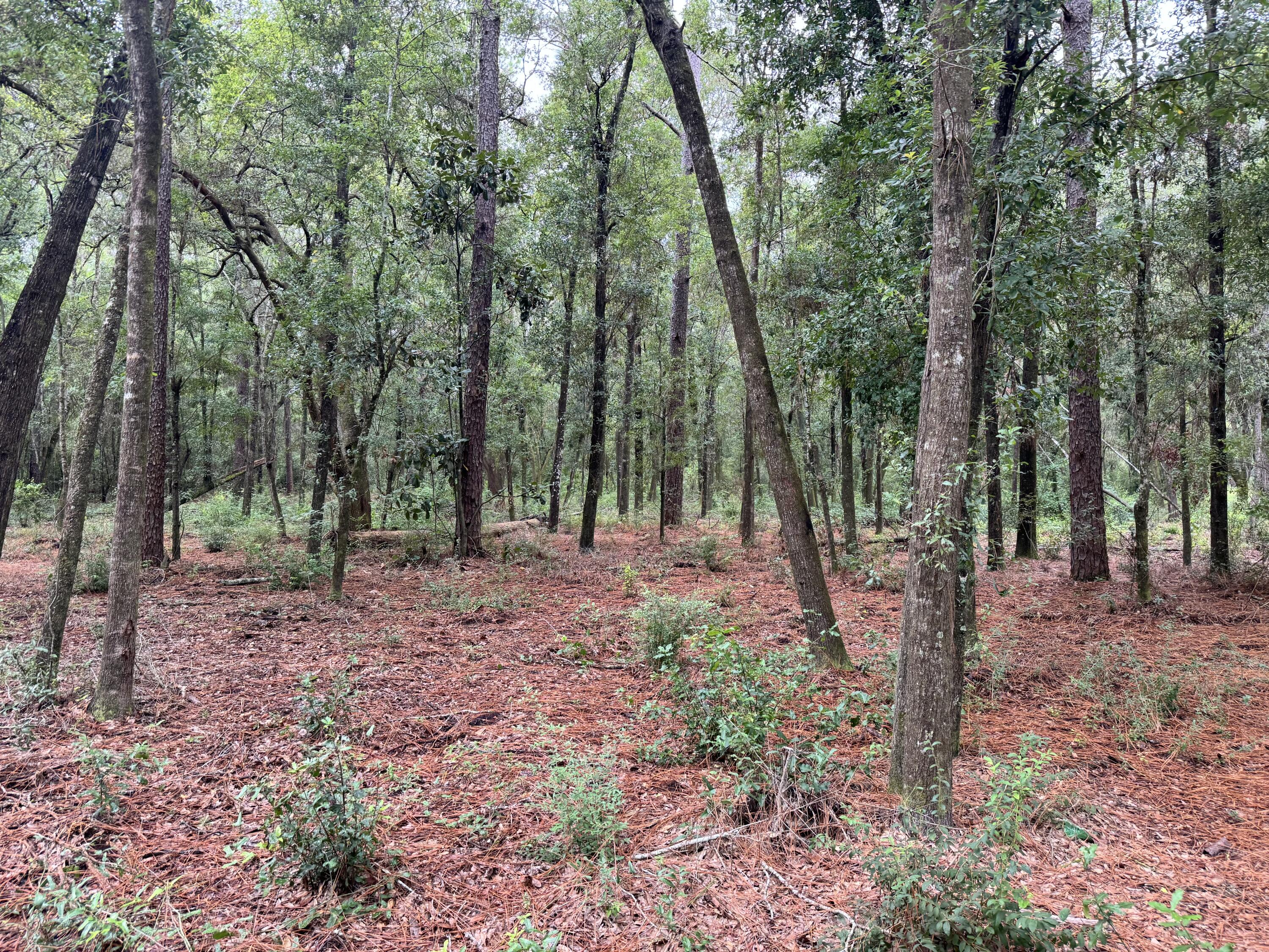 METES & BOUNDS - Land