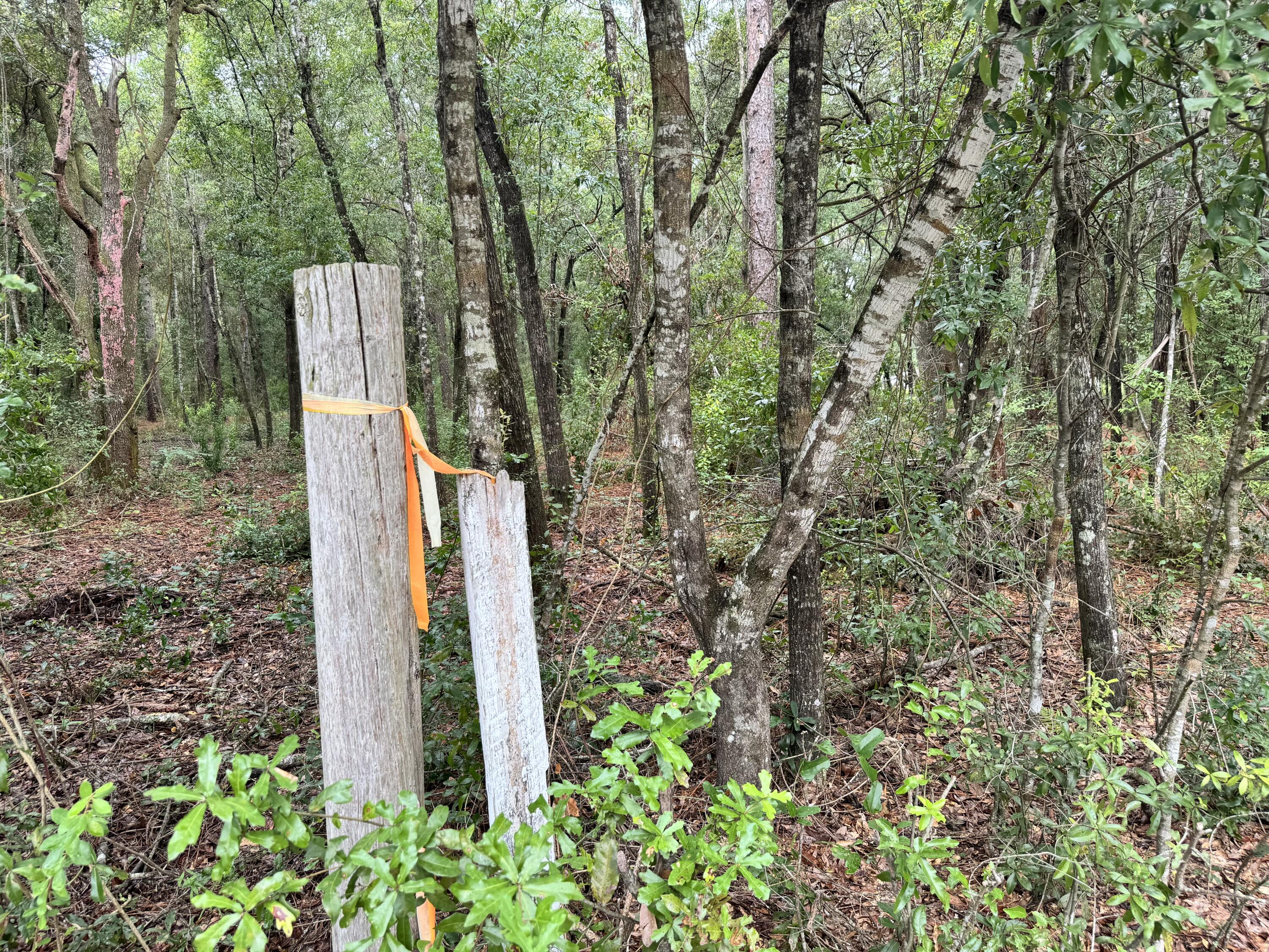 METES & BOUNDS - Land