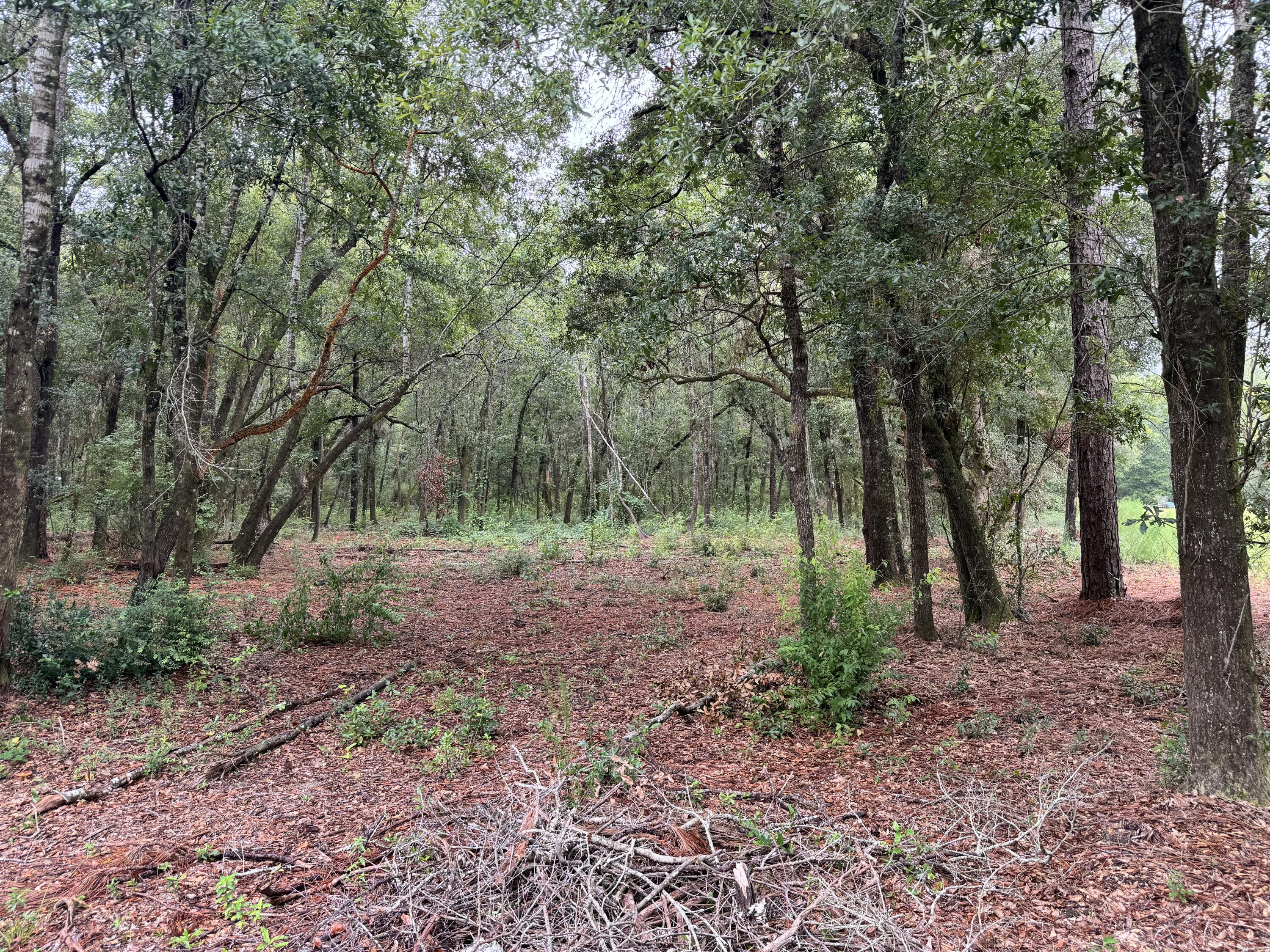 METES & BOUNDS - Land