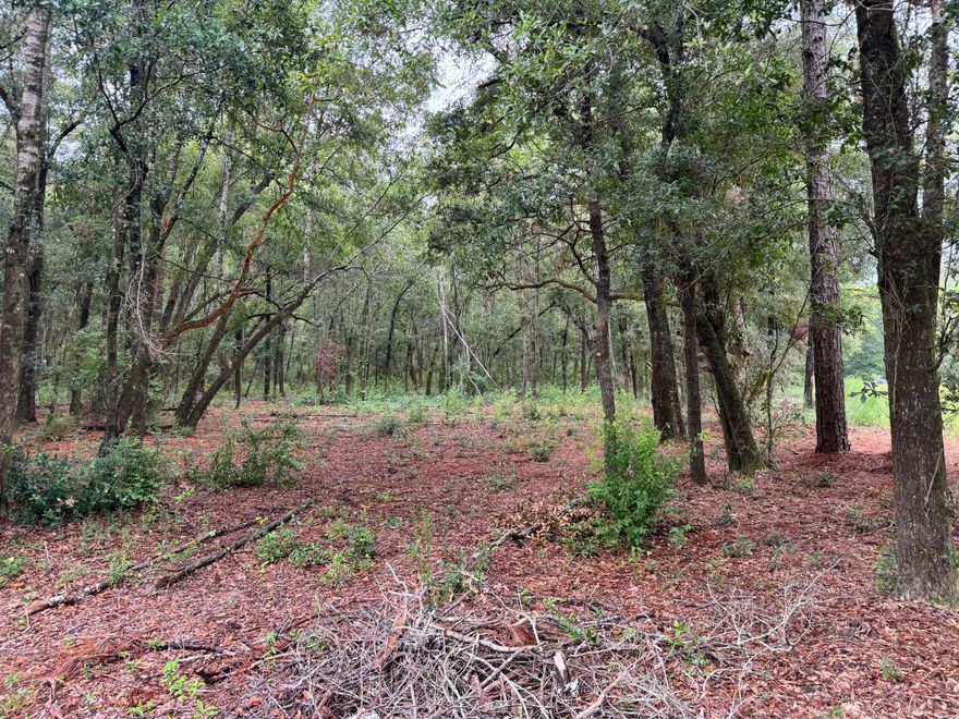 Stunning future homesite located in the center of Bagdad. Property was bush hogged allowing you to view the entire lot with its beautiful established oaks. Minutes from historical district of Milton. Easy commute to the local bases, beaches and shopping centers.