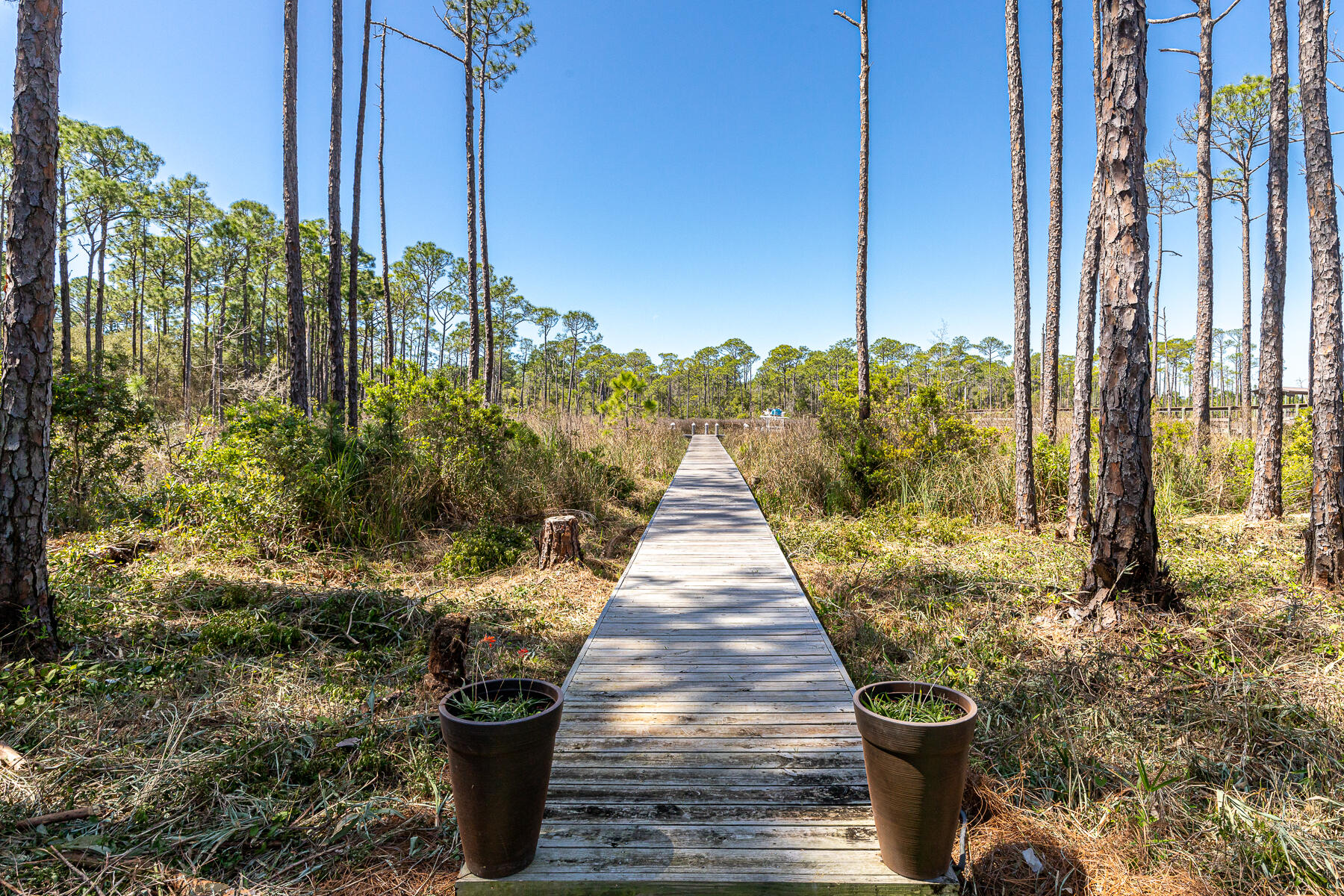 REGATTA BAY PH 1 - Residential