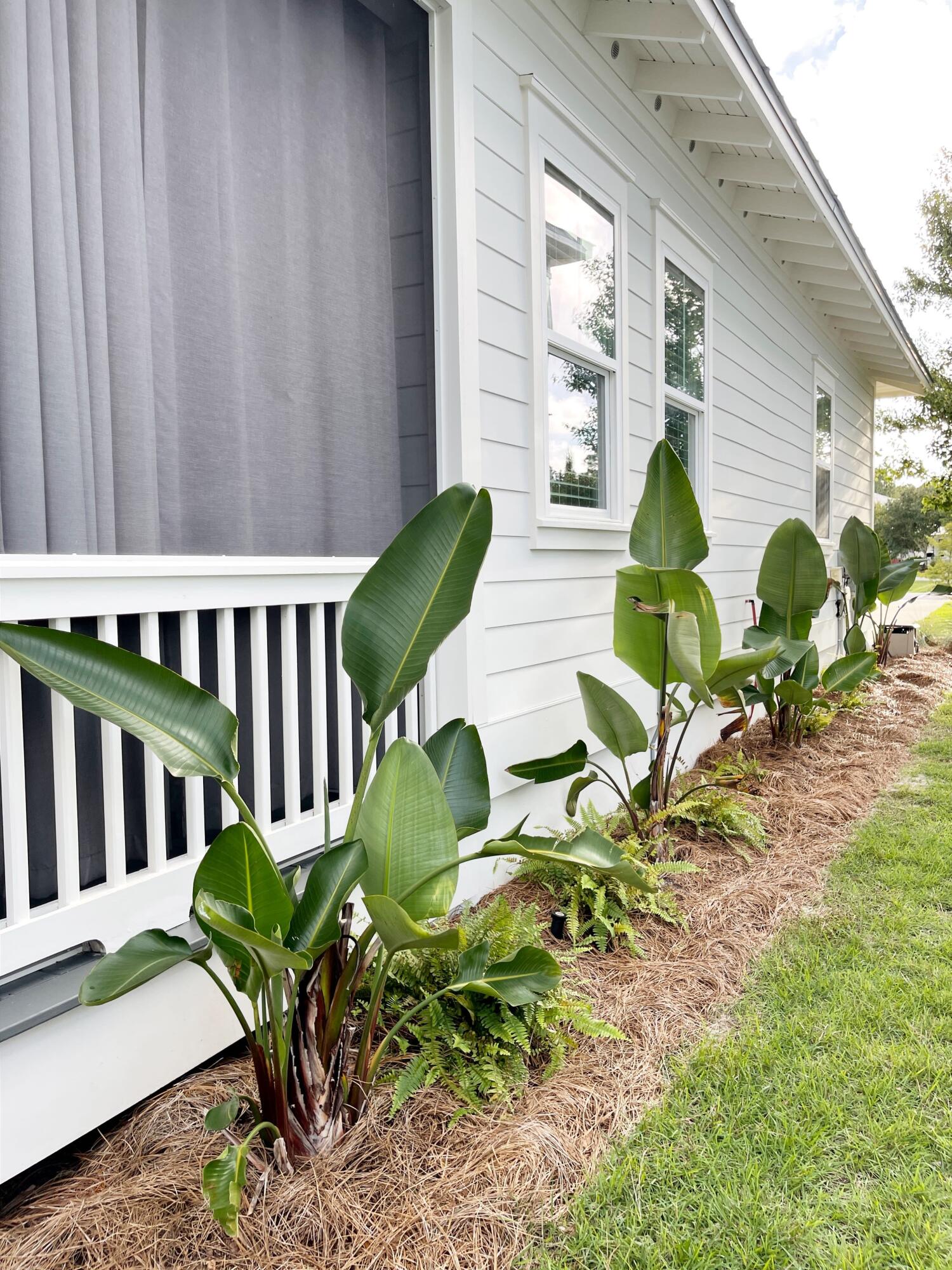 Audubon Point - Residential