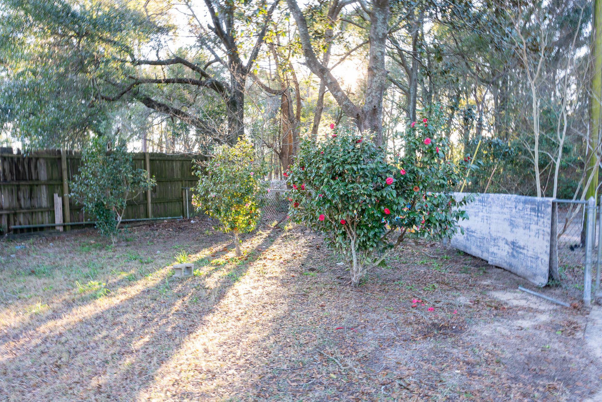 Campbell Add - Residential