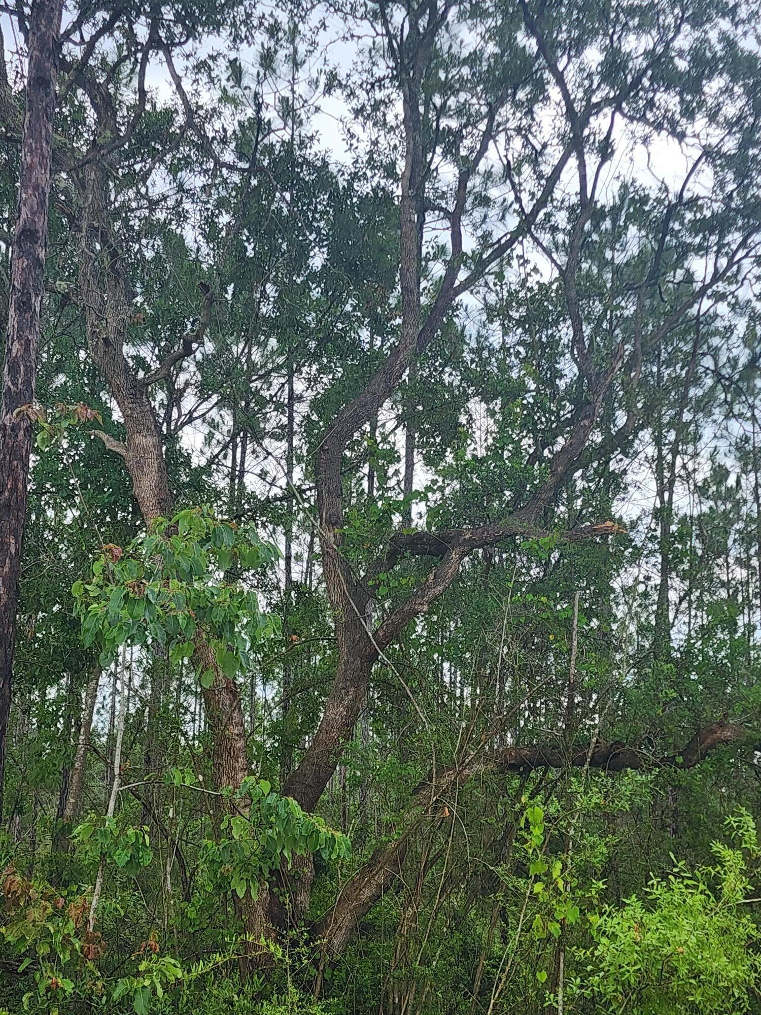 Parcel 7 - Long Rd - Land