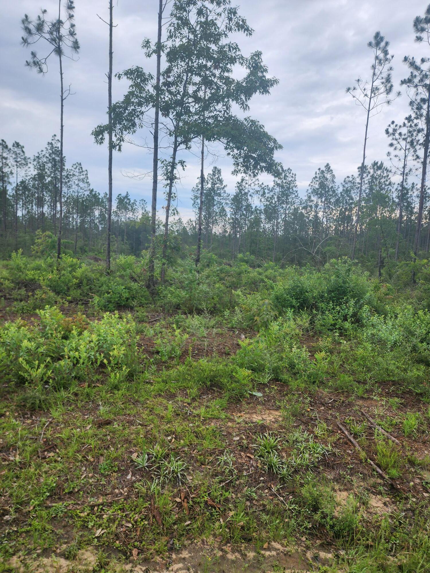 Parcel 7 - Long Rd - Land