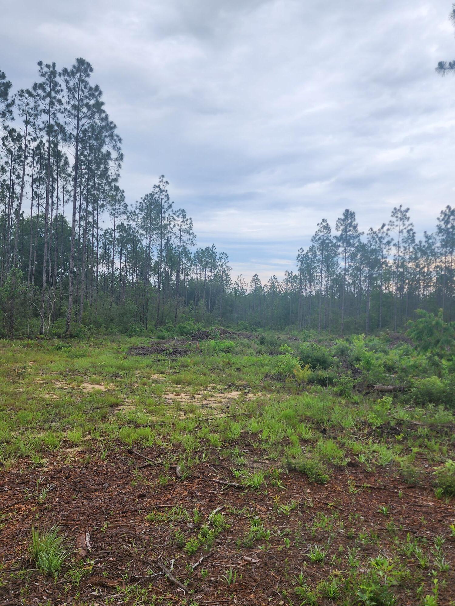 Beautiful property in Laurel Hill, bring your house plans and build that barndominium while you enjoy the serentity of the country setting without being too far out form town.