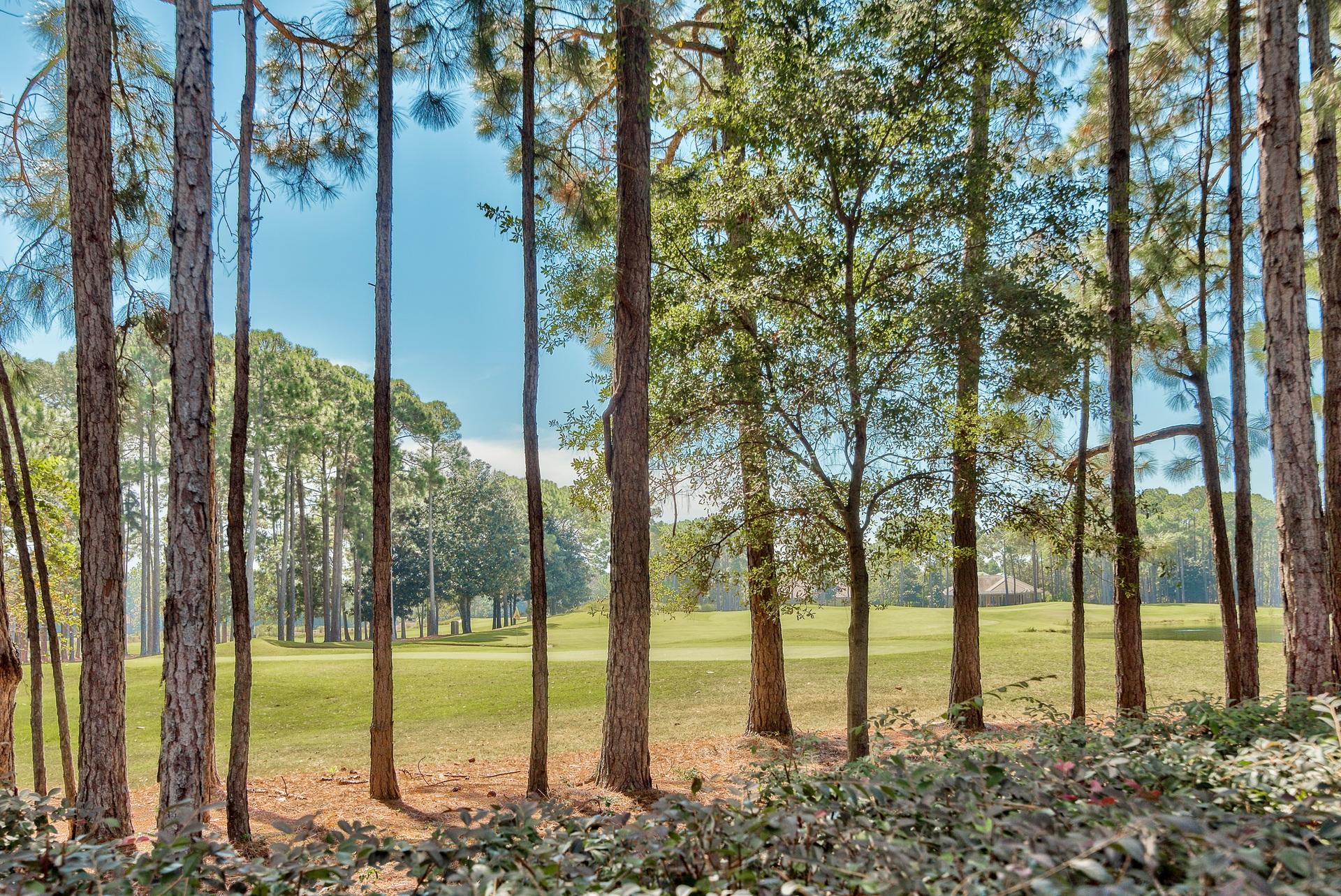 BURNT PINE - Residential