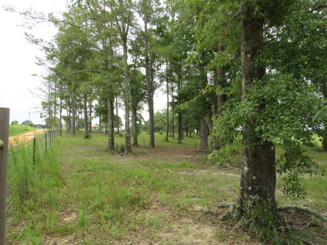 Metes and Bounds - Residential