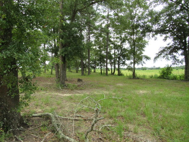 Metes and Bounds - Residential