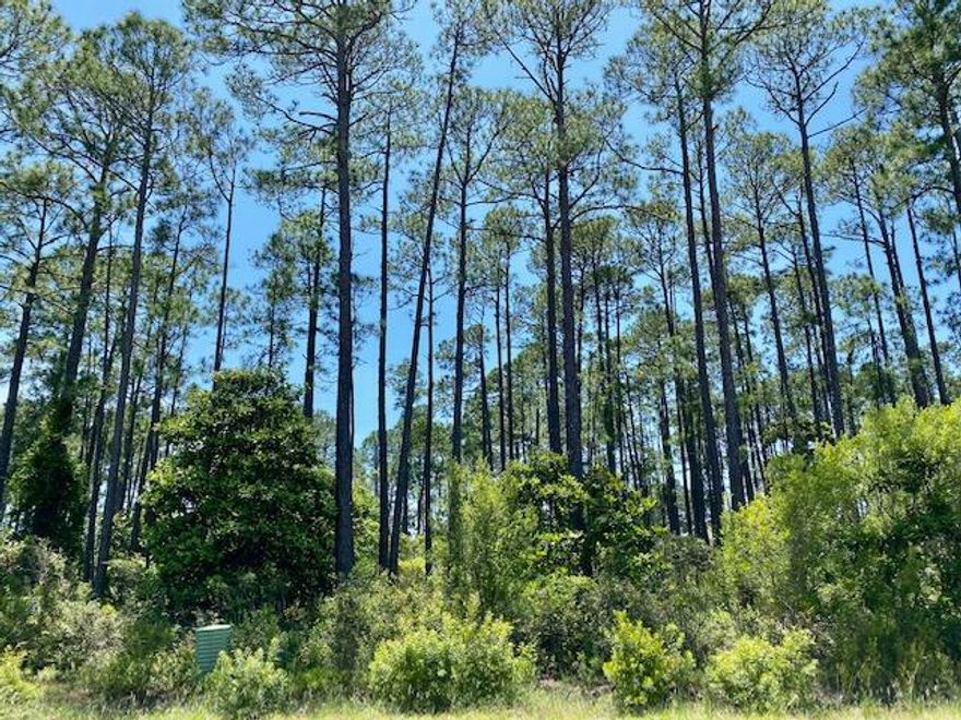 This large lot in Driftwood estates has no build out times and could offer bay views from the 2nd floor.  The adjacent lot 25 is available for purchase as well.  All information is deemed accurate but not guaranteed and buyers should confirm all information during feasibility period.