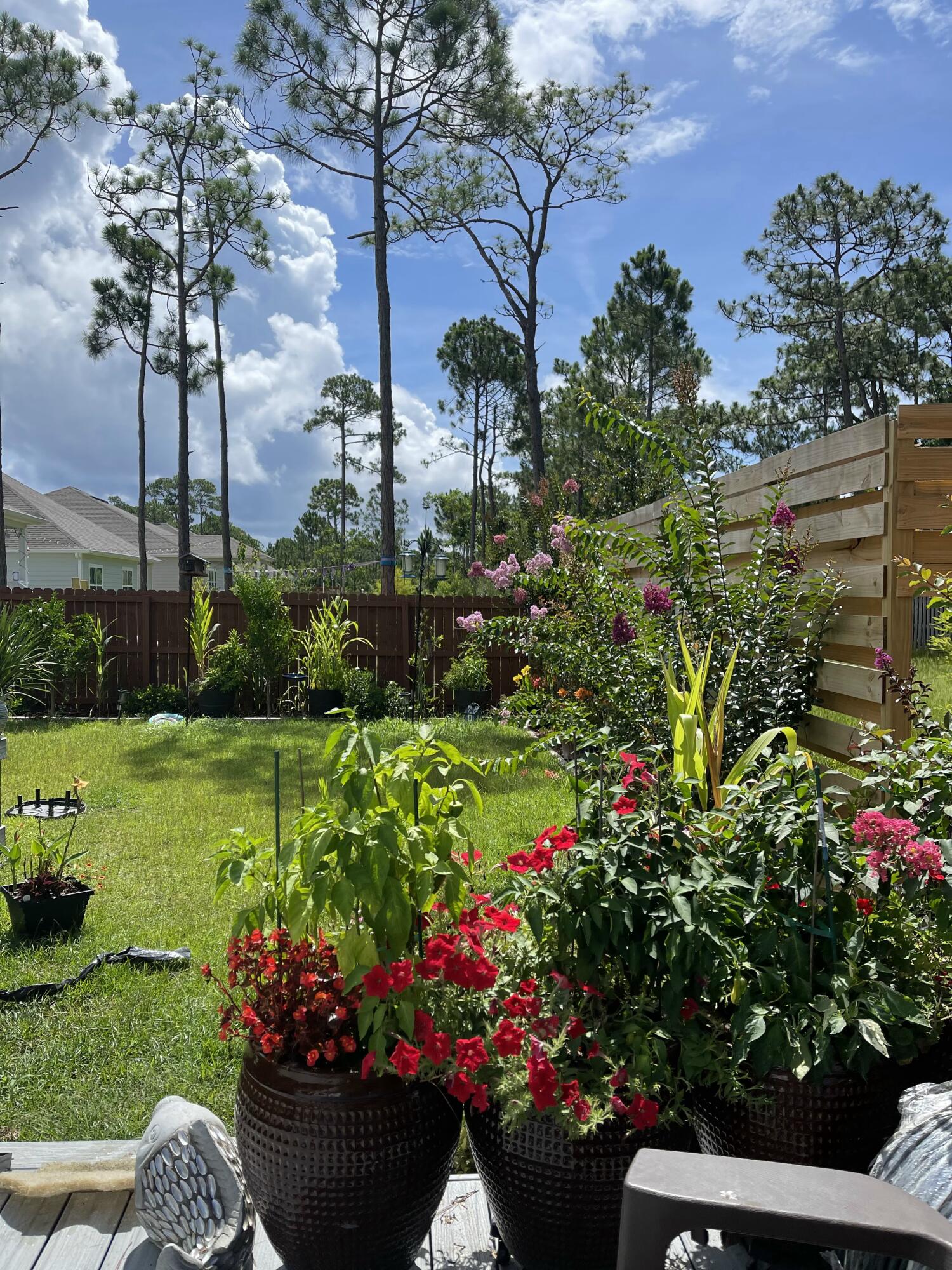 Treasure Trove - Residential Lease