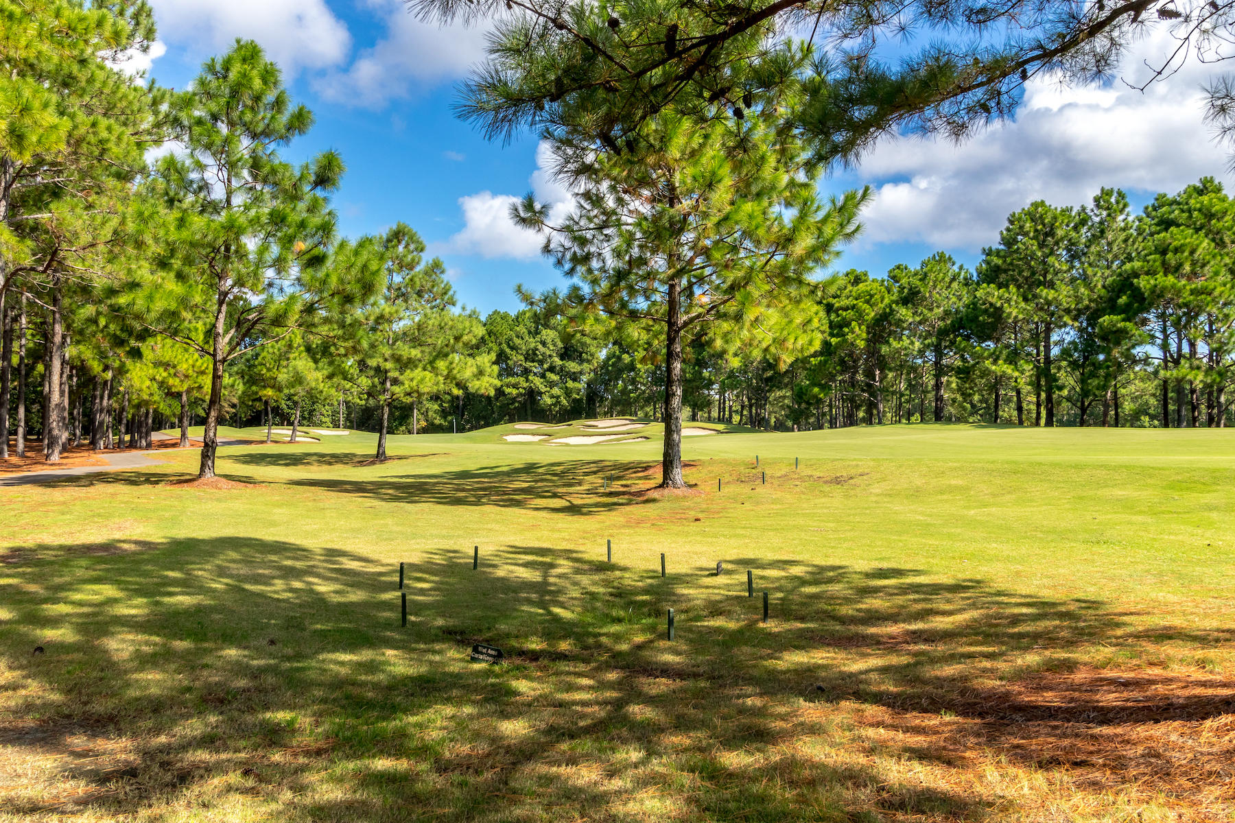 Beautiful homesite located on the 10th fairway of the award winning Raven golf course. This lot only has a 30' set back from the golf course whereas most of them are 45'. One of only a few remaining lots that is wide enough to accommodate an estate sized one story home. It is located near the end of a secluded street, yet very close to the Burnt Pine Clubhouse. Ravenwood is located within the gates of the exclusive community of Burnt Pine.