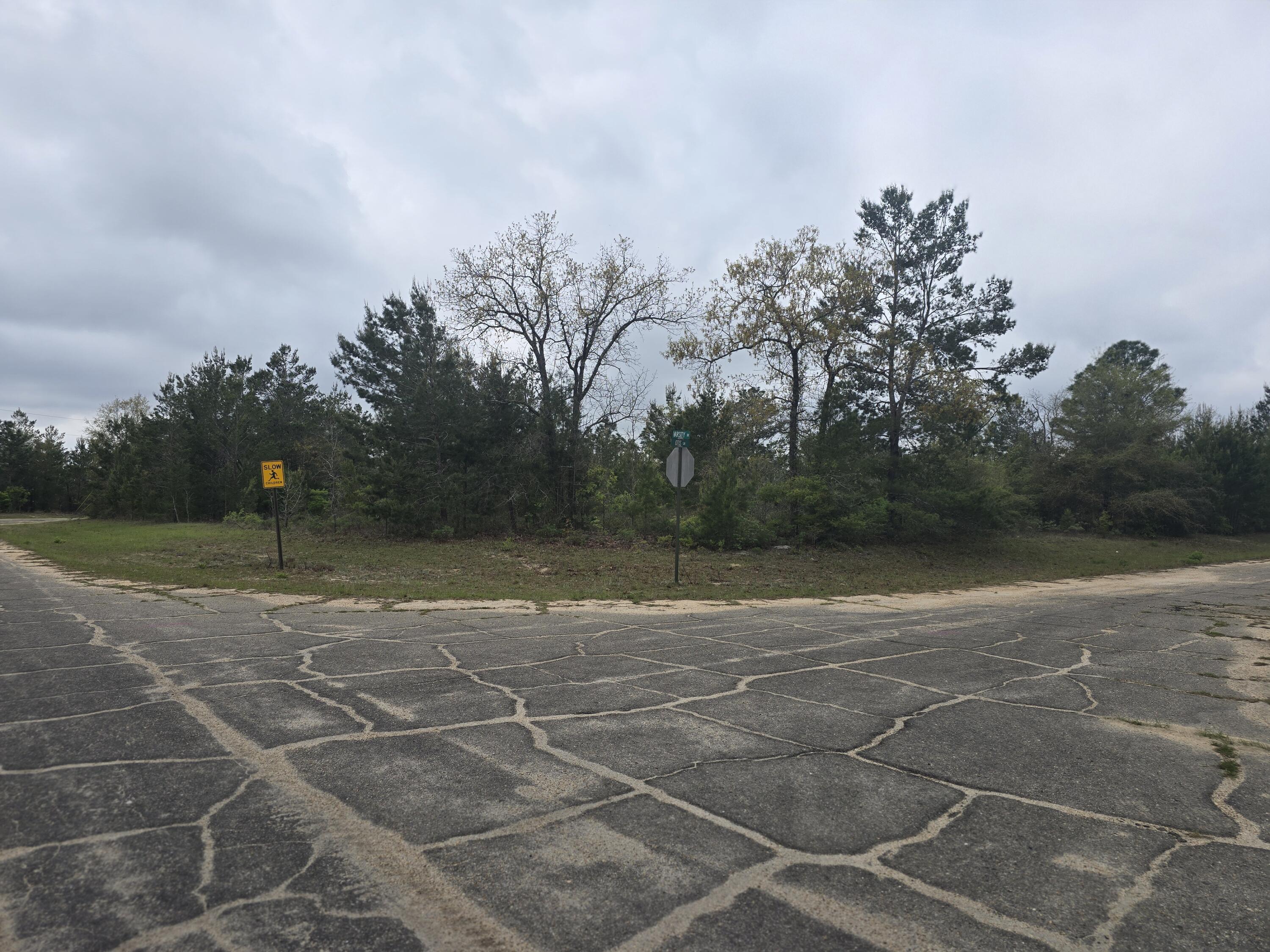 SUNNY HILLS SD - Land