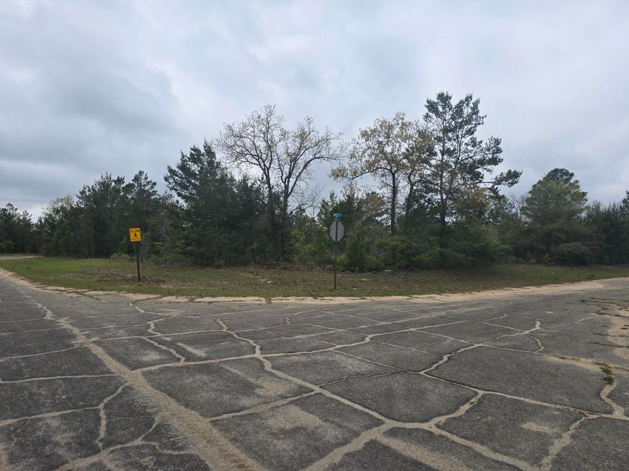 Perfect Home Site - Corner Lot in the Sunny Hills Community, an established subdivision with over 20K lots currently being developed with several national builders. Subdivision offers an 18-hole golf course with clubhouse, numerous lakes with white sandy beaches for recreational activities such as swimming, boating, fishing, and best of all, NO HOA! Sunny Hills is located in Washington County between Panama City Beach and Chipley within the Vernon school district.  Adjacent lot available for purchase too, individually or in a package.