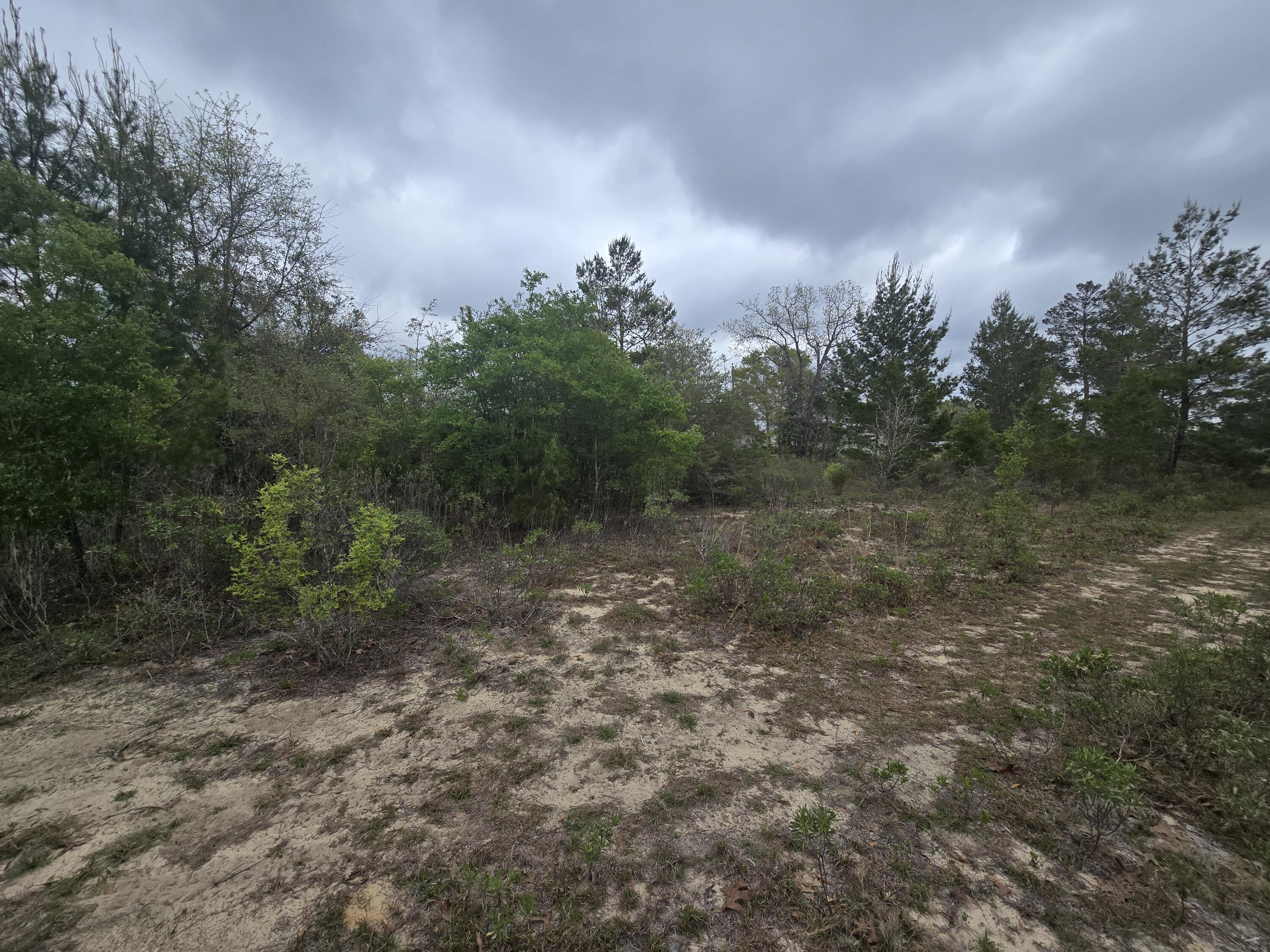 SUNNY HILLS SD - Land