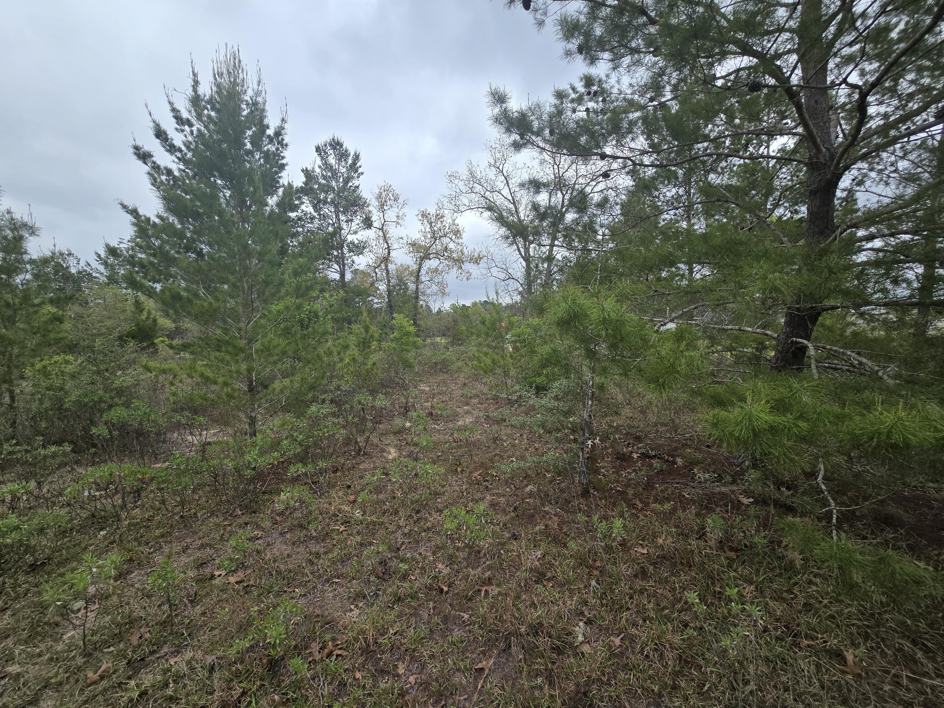 SUNNY HILLS SD - Land