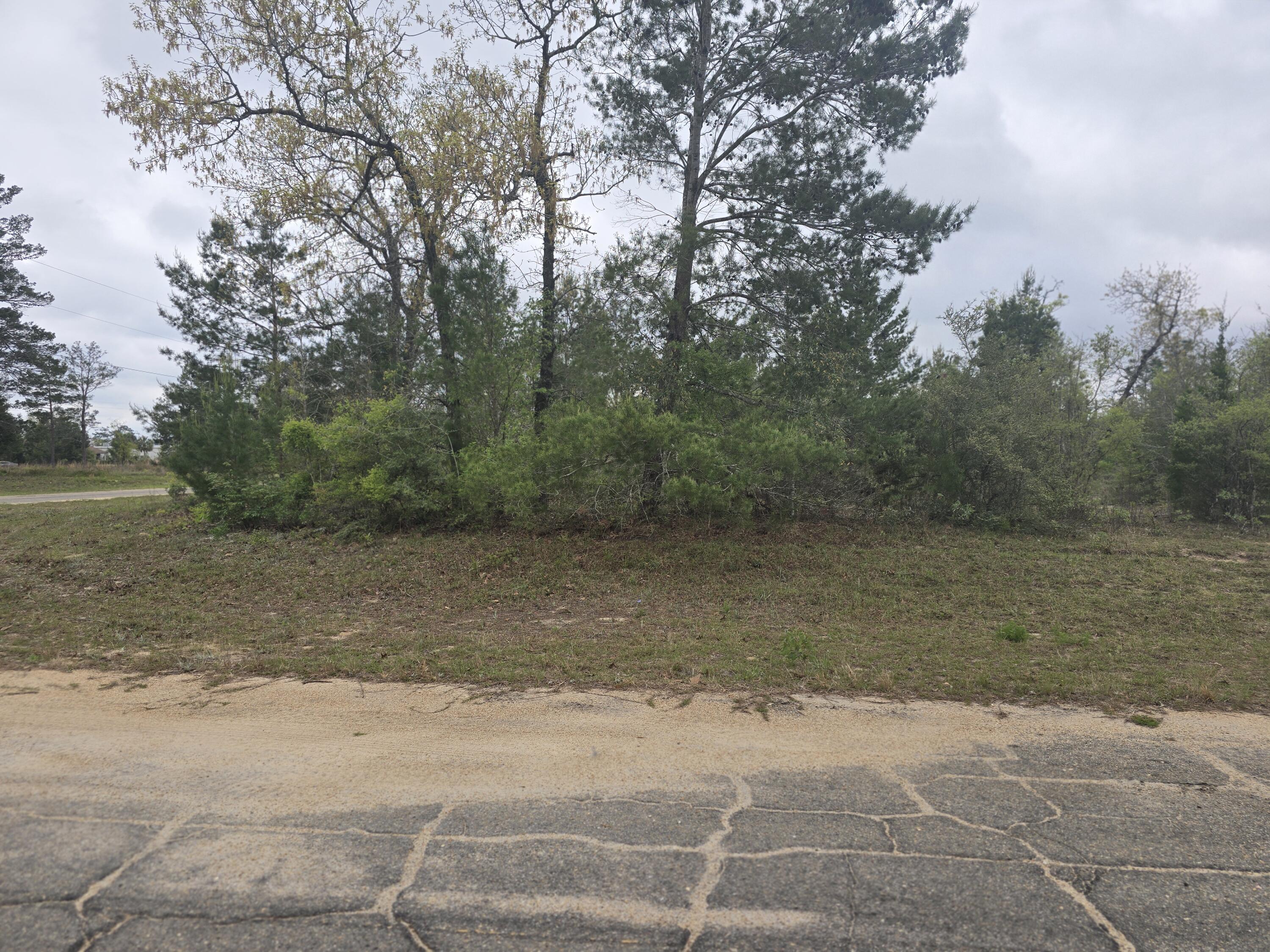 SUNNY HILLS SD - Land