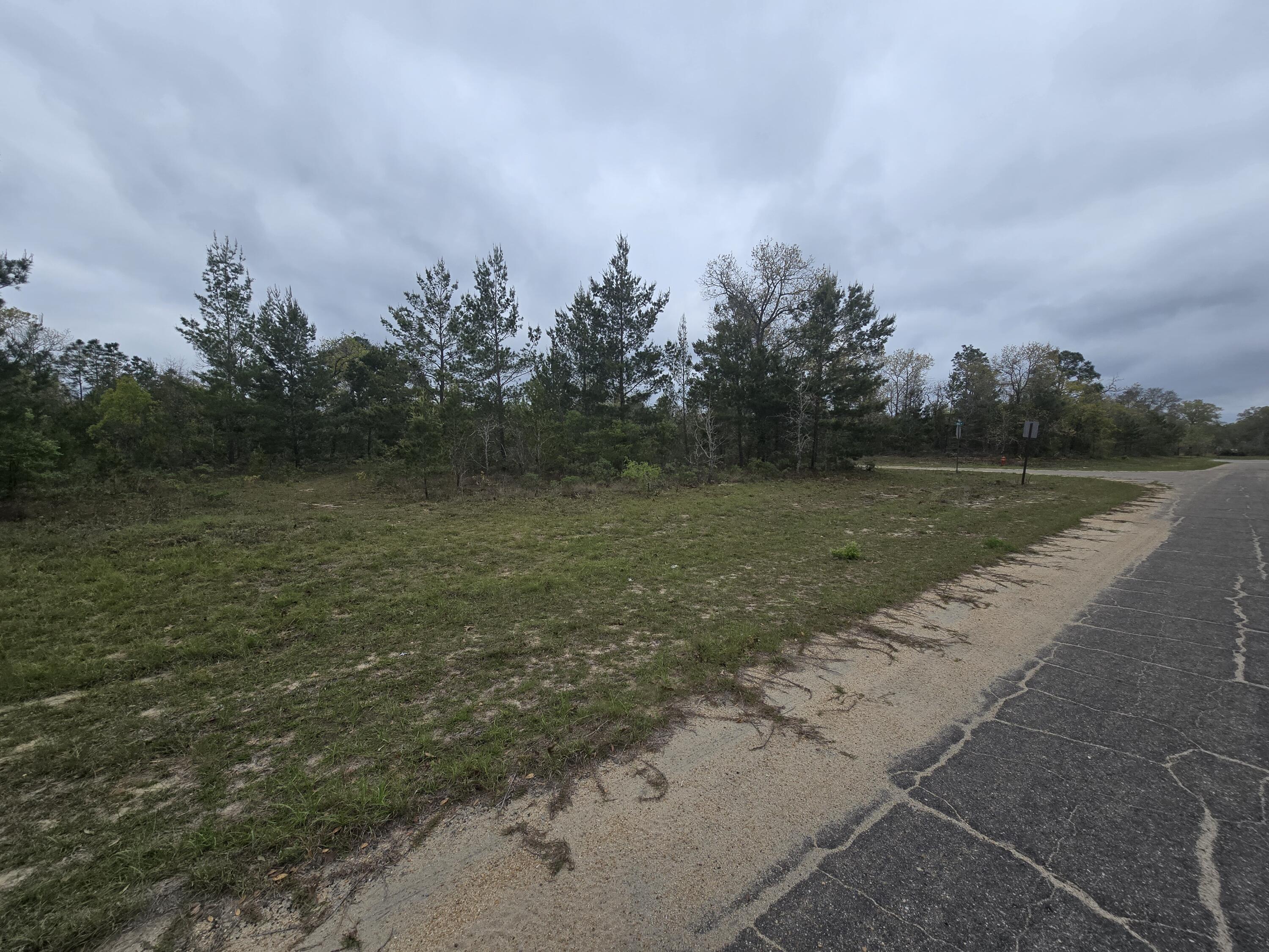 SUNNY HILLS SD - Land