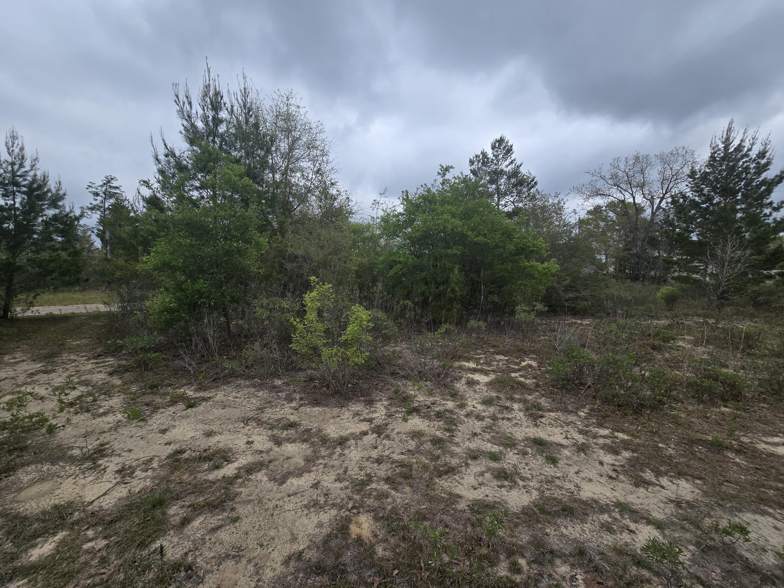 SUNNY HILLS SD - Land