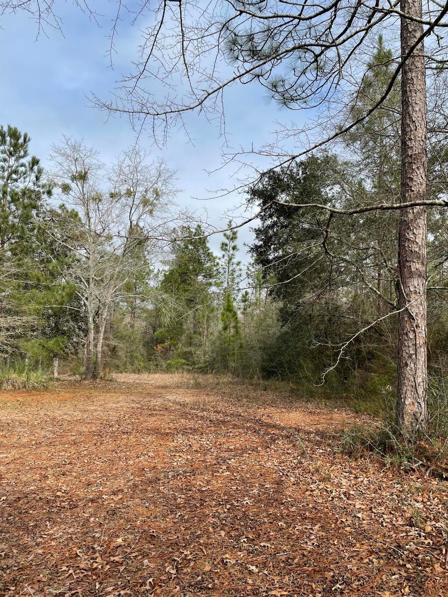 Quiet setting perfect for building your forever home or a weekend hunting camp. The property is accessible by a 66' easement.