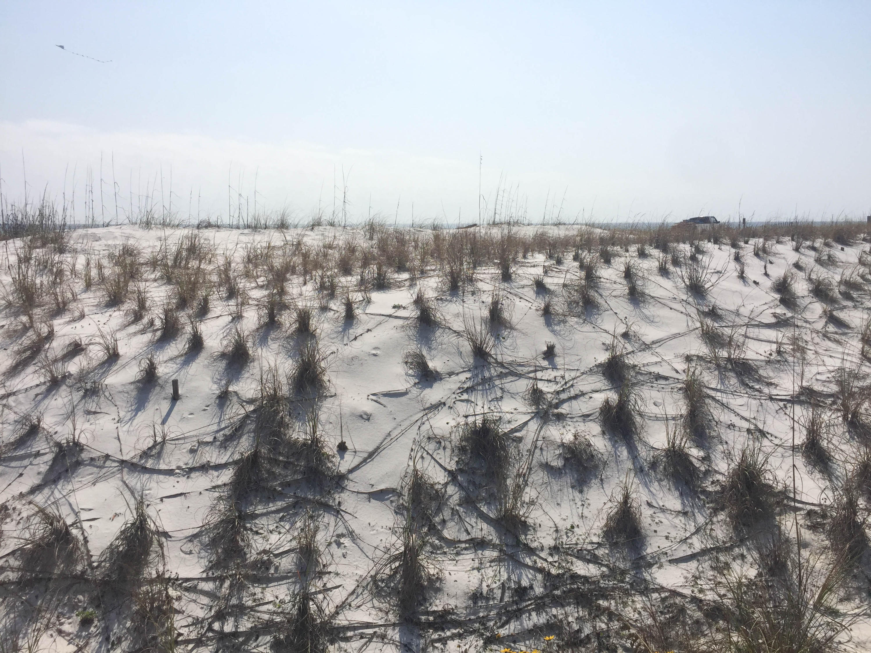 SEA OATS CONDO - Residential