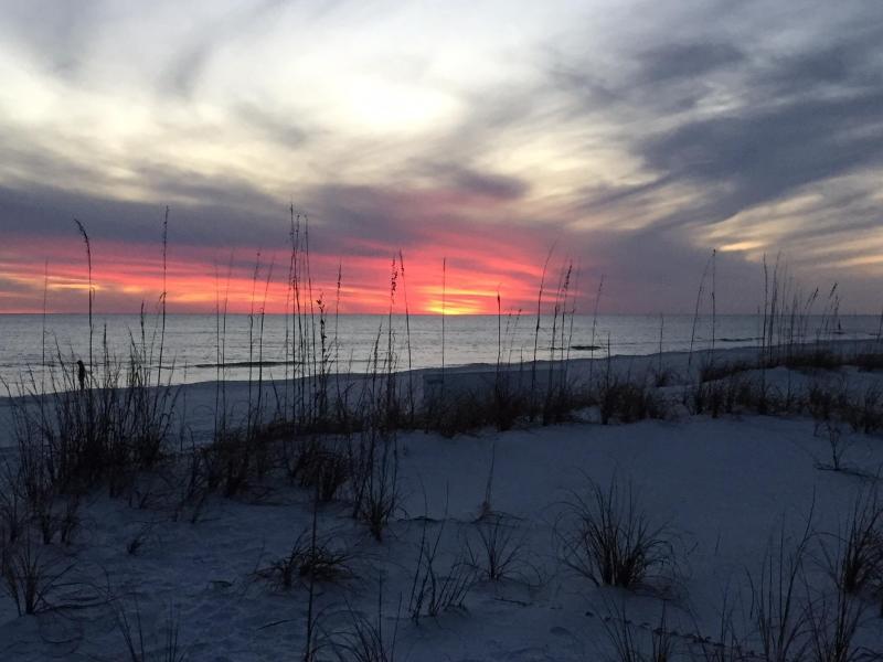 SEA OATS CONDO - Residential