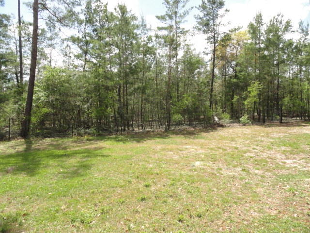 DEER SPRINGS - Residential