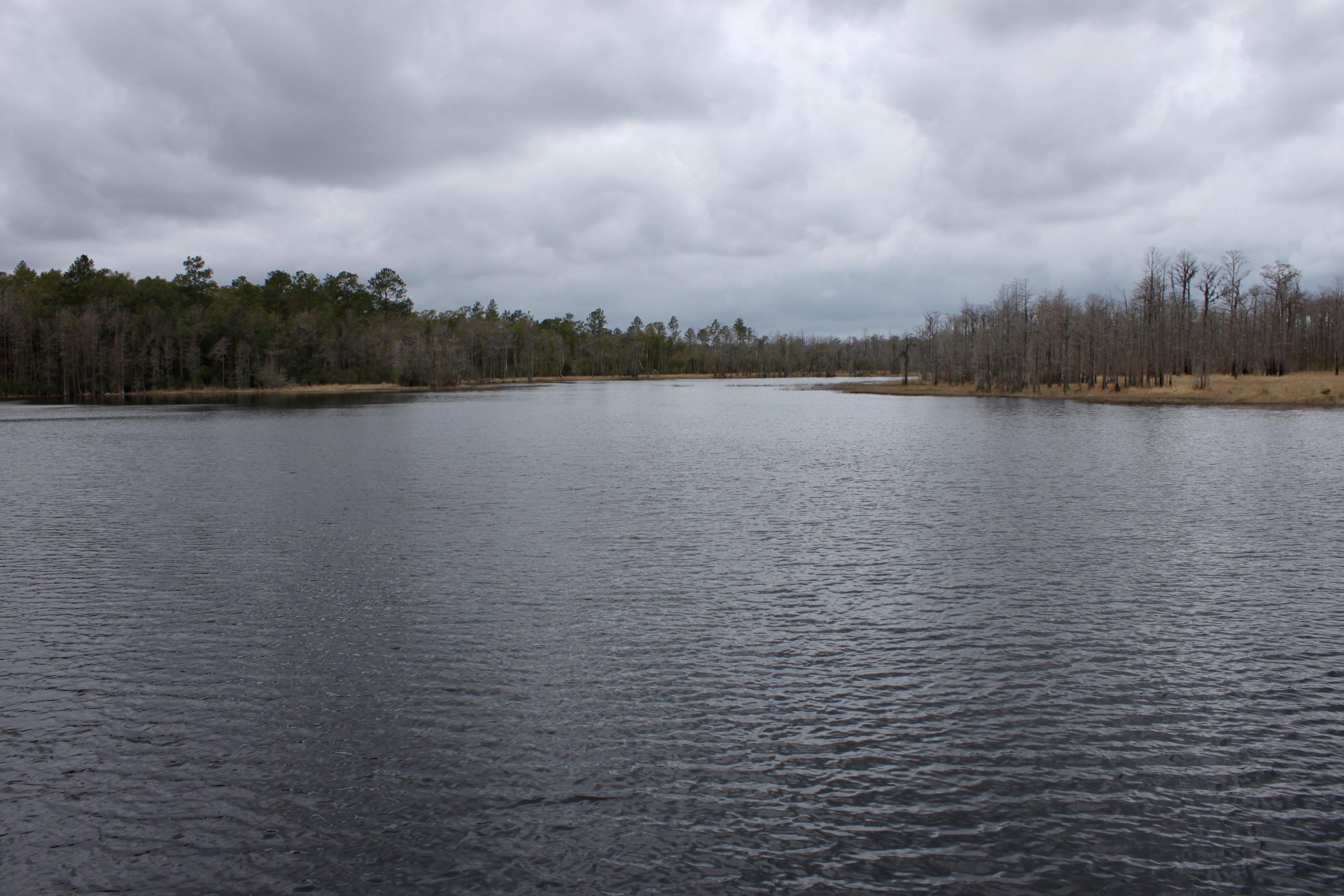 SUNNY HILLS SD - Residential