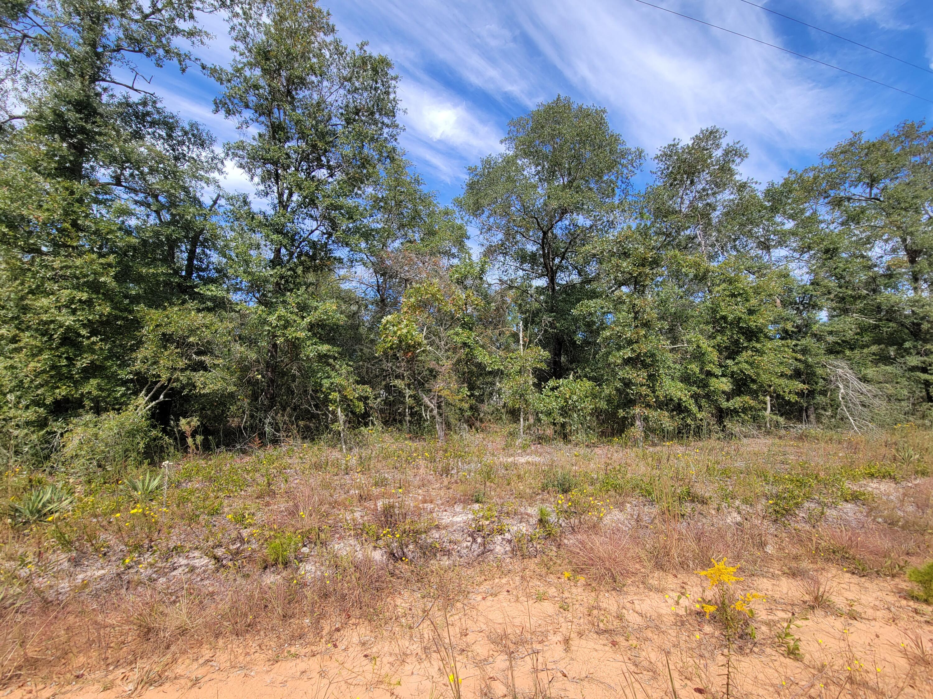 OAKWOOD HILLS UNIT 1 - Land