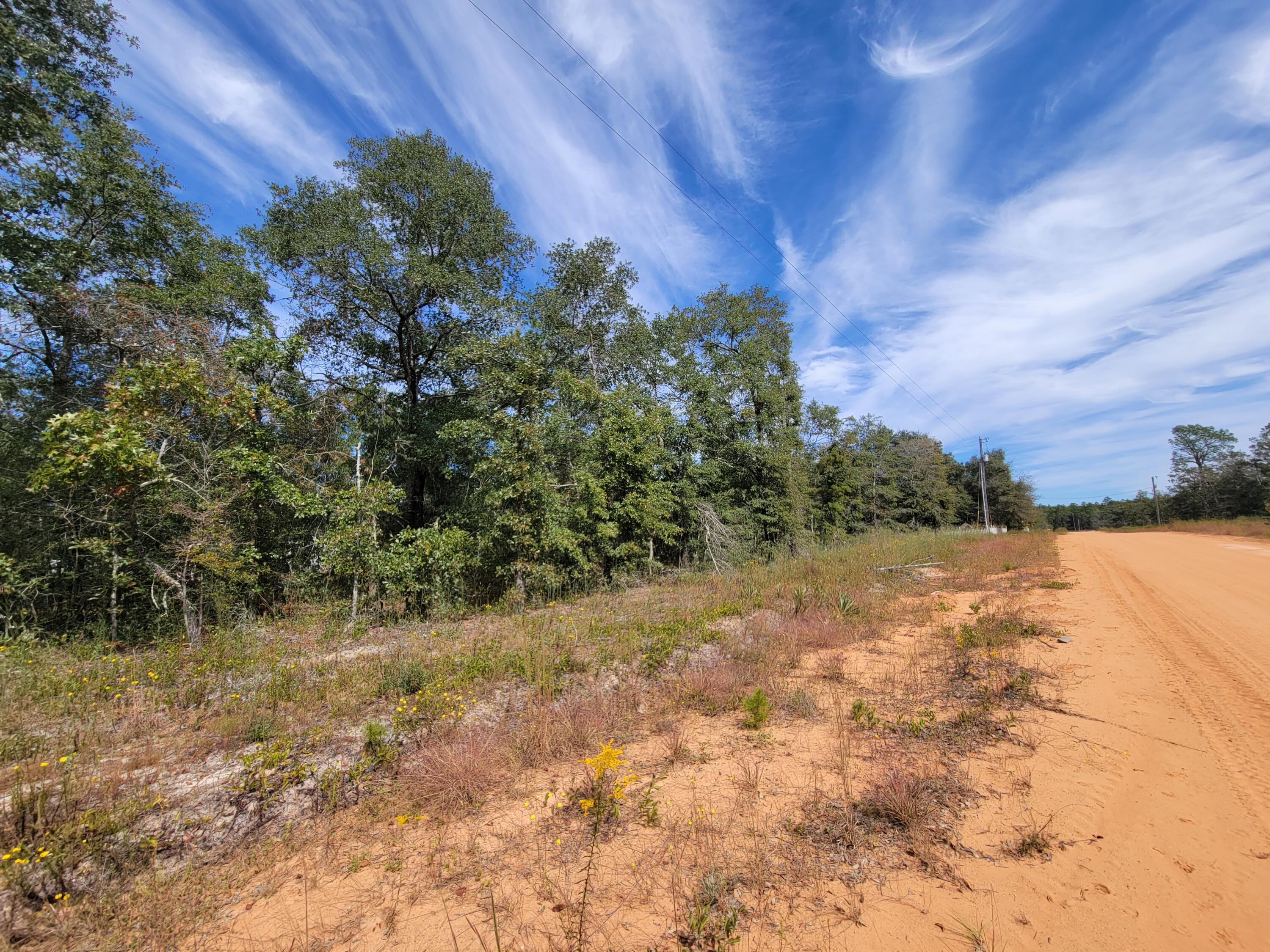 Nice level lot with lots of small oaks and mixed hardwood trees.  You can build your new home or place your manufactured home. Mossy Head Water is available on the street, fire hydrant just past the lots.  Call the Mossy Head Water Dept. for costs and fees to have water run to the lot. I-10 Exit at Mossy Head is appx. 7 miles west of the property.  Once you turn onto Hwy 285 S.  follow appx 12 miles to the short cut road to the Mid-Bay Bridge and South Walton beaches.   Other lots may be available on this street.