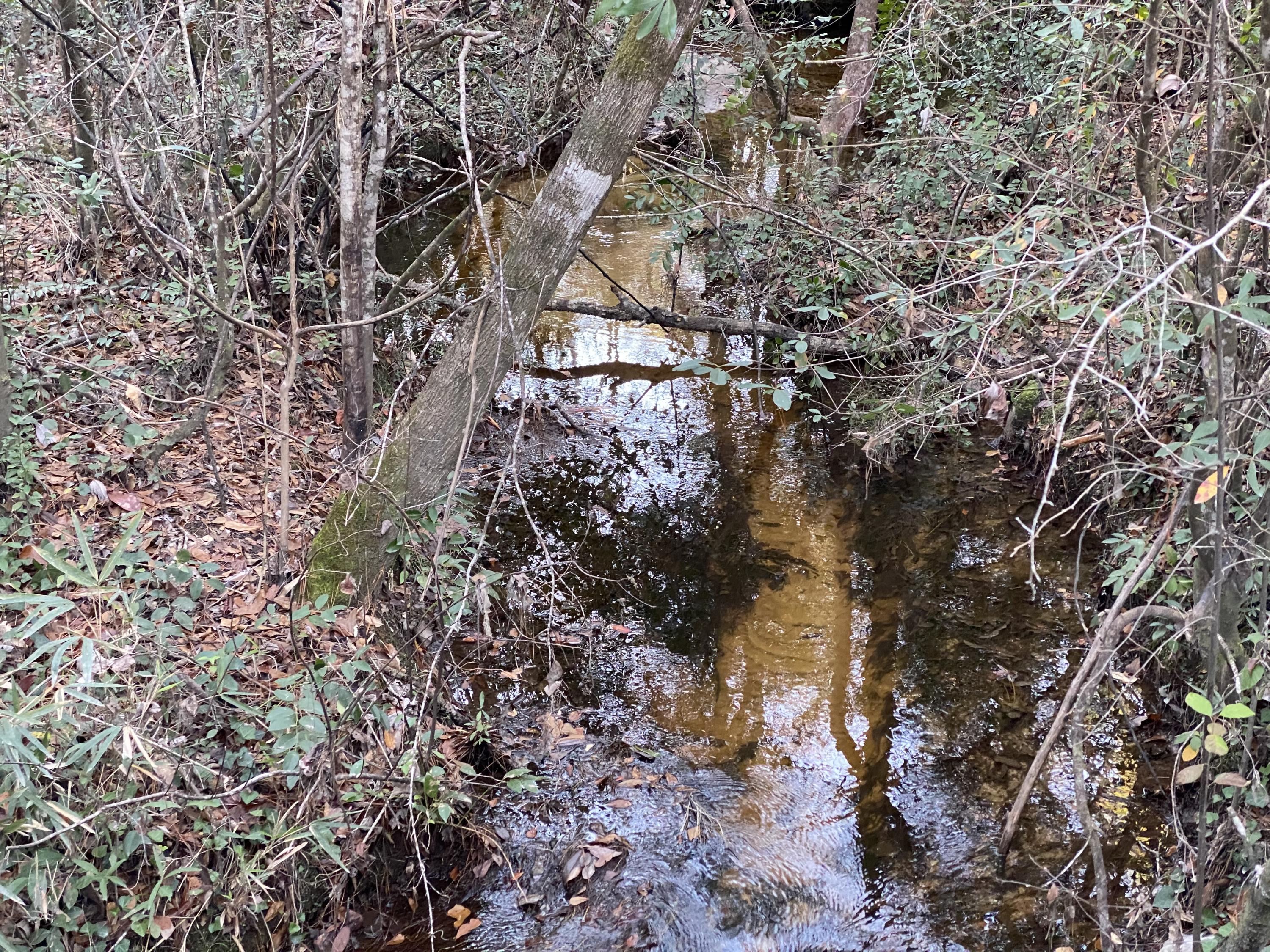 METES & BOUNDS - Farm