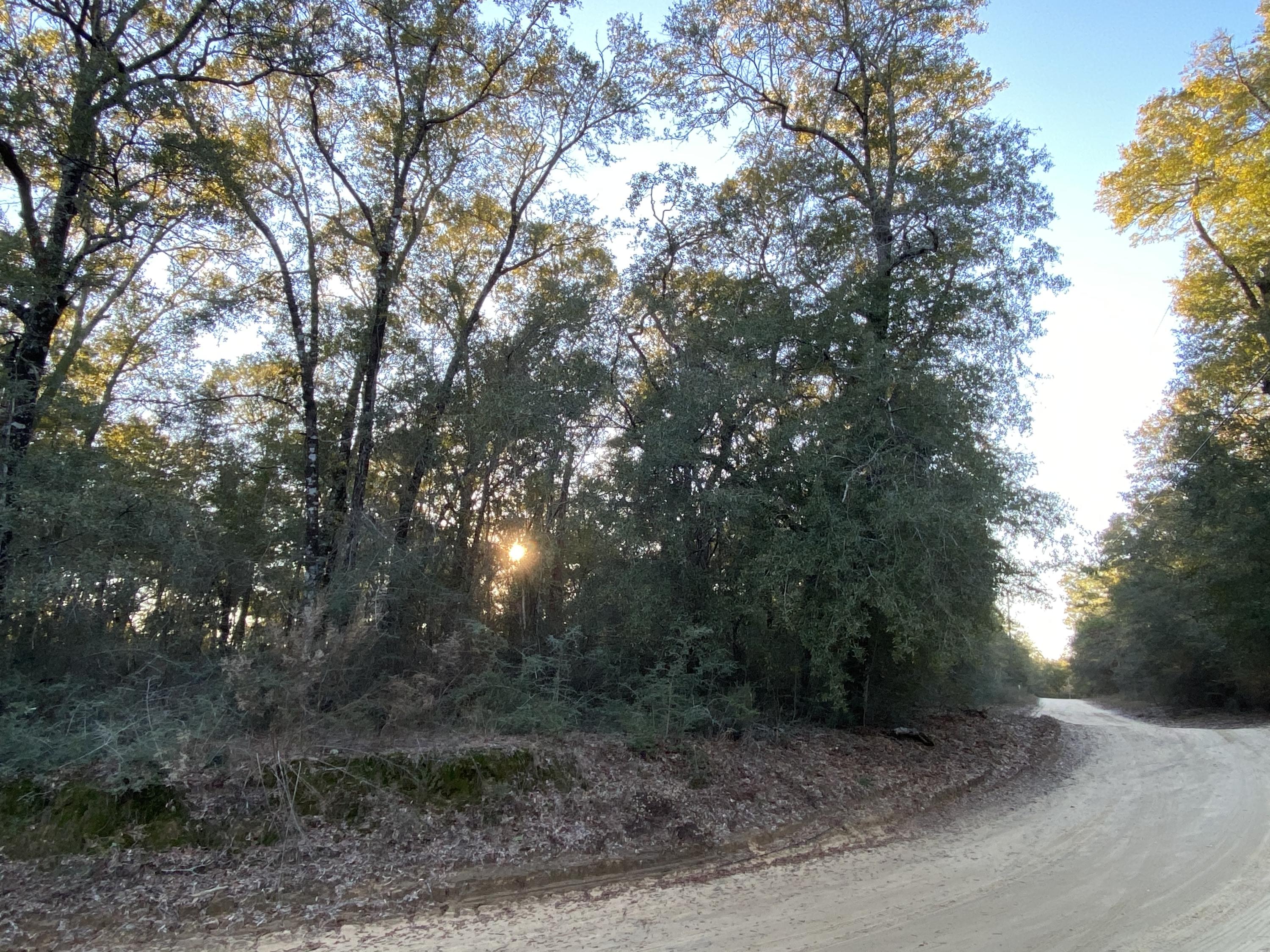 METES & BOUNDS - Farm