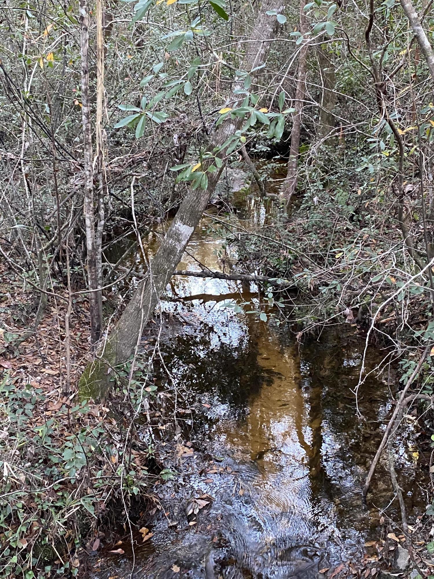 METES & BOUNDS - Farm