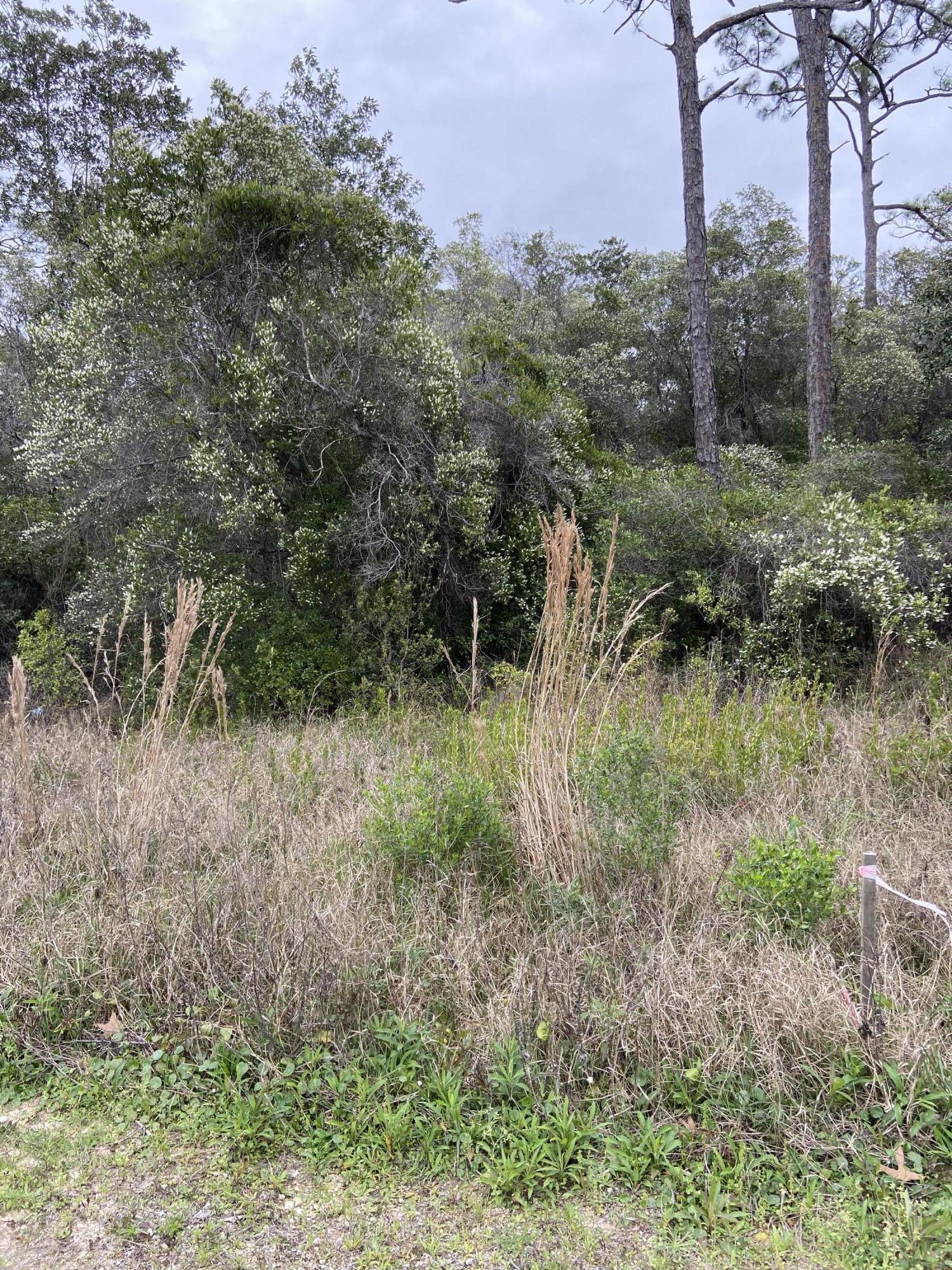 Located across from popular businesses, down the street from a new development and in the busy Grayton Beach area, this is one of the few lots available with frontage on Hwy 283.  Property is zoned VMU (Village Mixed Use) and backs to the Conservation area. Take a stroll along the running path and come see this lovely lot! **Buyer to verify all information.