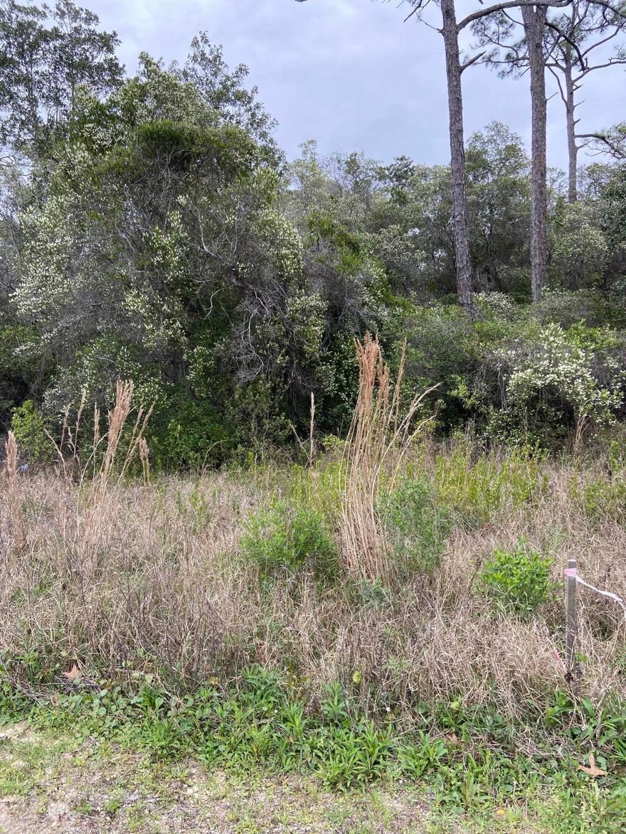 Located across from popular businesses, down the street from a new development and in the busy Grayton Beach area, this is one of the few lots available with frontage on Hwy 283.  Property is zoned VMU (Village Mixed Use) and backs to the Conservation area. Take a stroll along the running path and come see this lovely lot! **Buyer to verify all information.