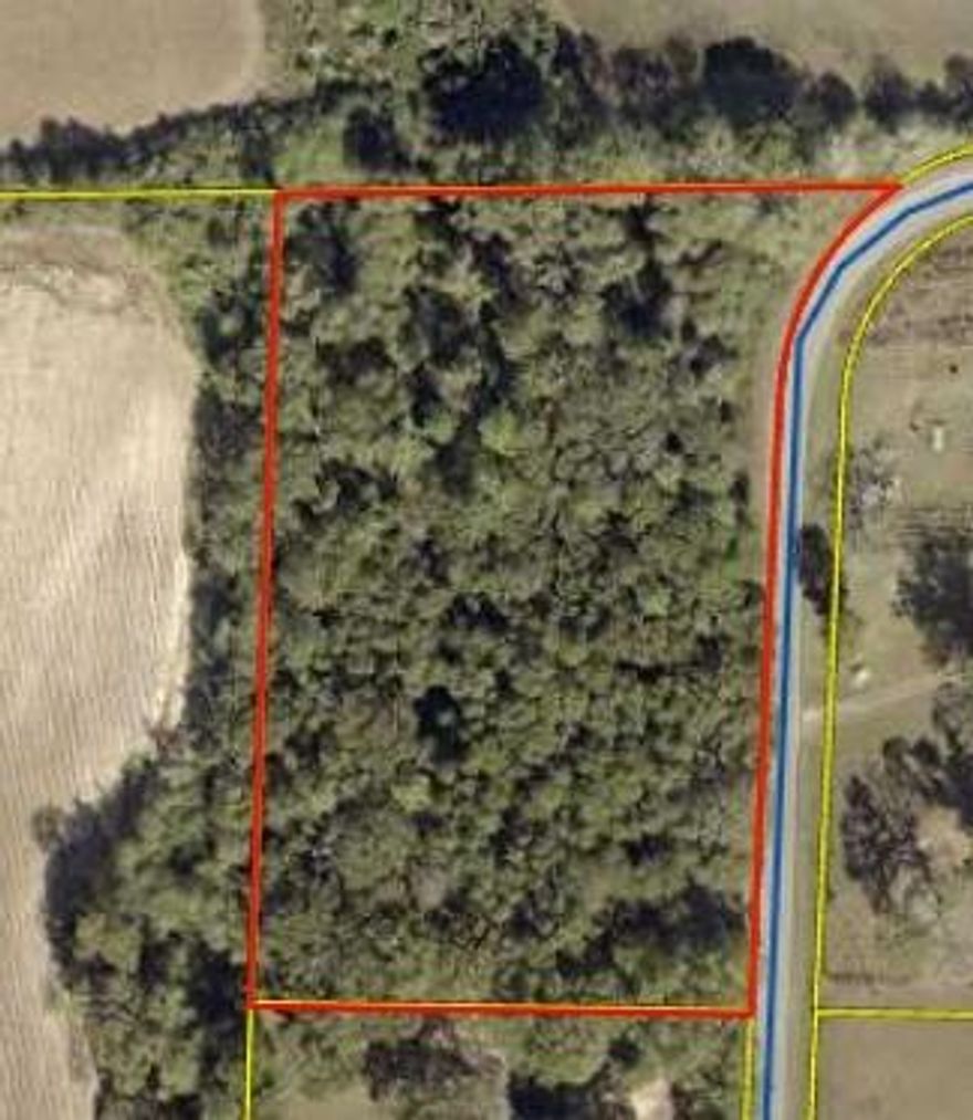 This beautiful 3.91 acre property in Walton County offers incredible potential. Rural area with surrounding farmland gives you the feel of country living with being 15 minutes to downtown historic Defunik Springs, and 45 minutes to the Gulf of America. There was a mobile home on the property years ago, so there were utilities on the property.