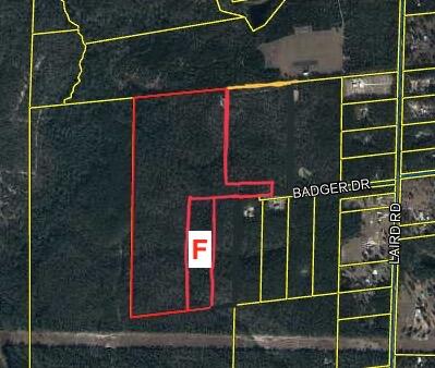 10+/- Ac of Wooded land on Badger Drive, Perfect lot to Build your new home!!! You don't want to miss this opportunity.County Zoning is rural village. Future land use is rural residential.Seller Will consider owner financing offers.