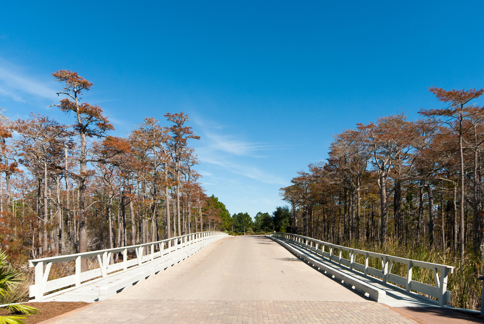 CYPRESS DUNES - Residential