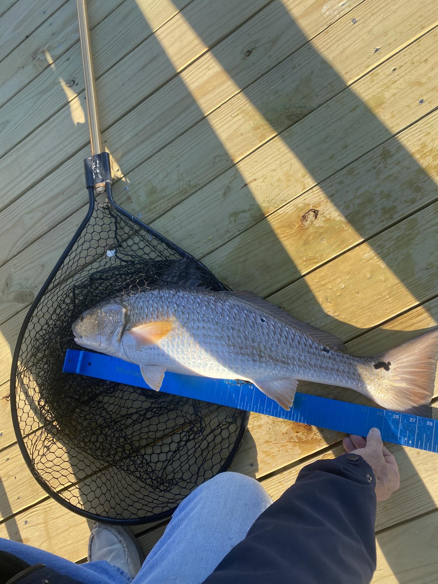 MULLET CREEK - Residential