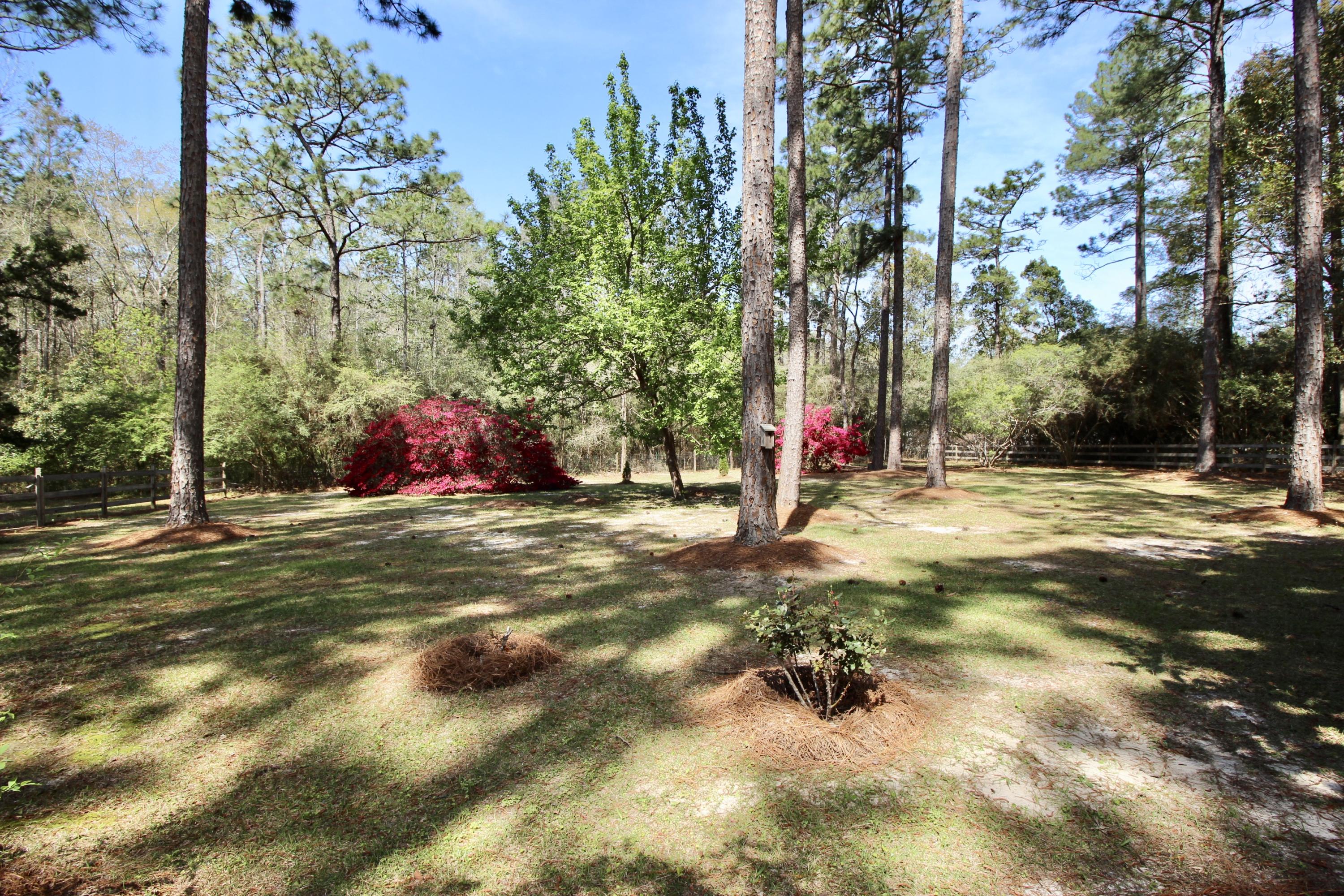 PINE SHORES - Residential