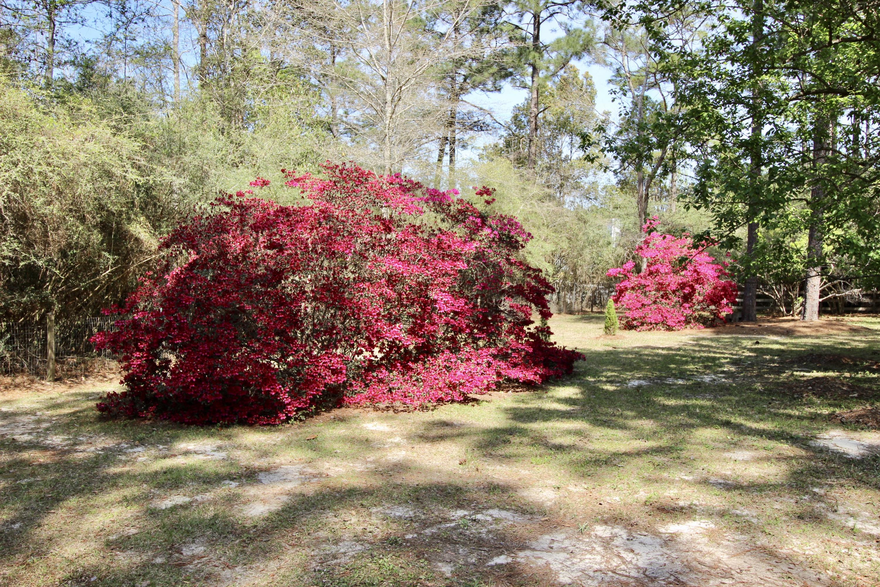 PINE SHORES - Residential