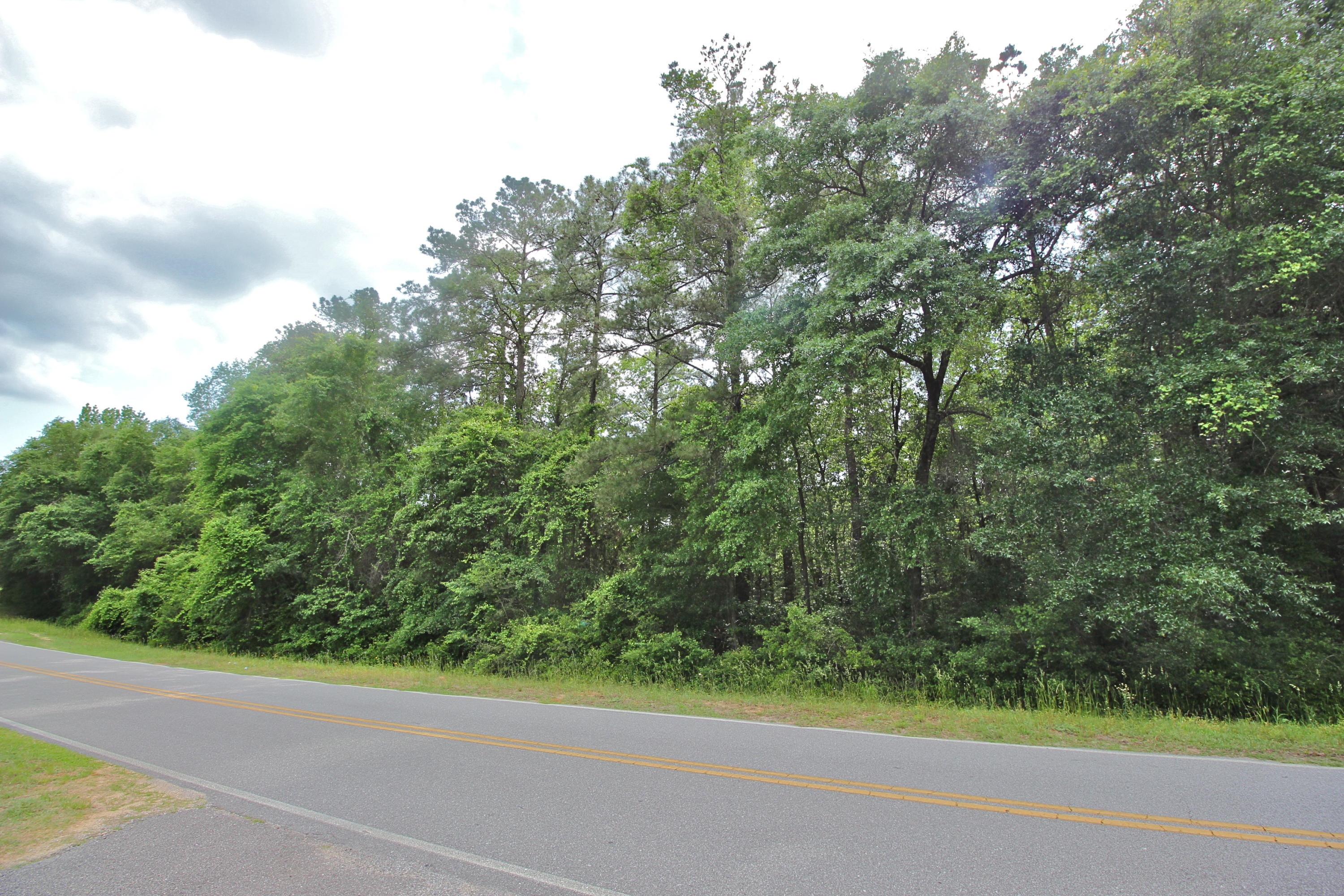 Beautiful wooded small acreage with plenty of paved road frontage near what locals call Union Crossroads. Gently slopes to a lake on the adjacent property.