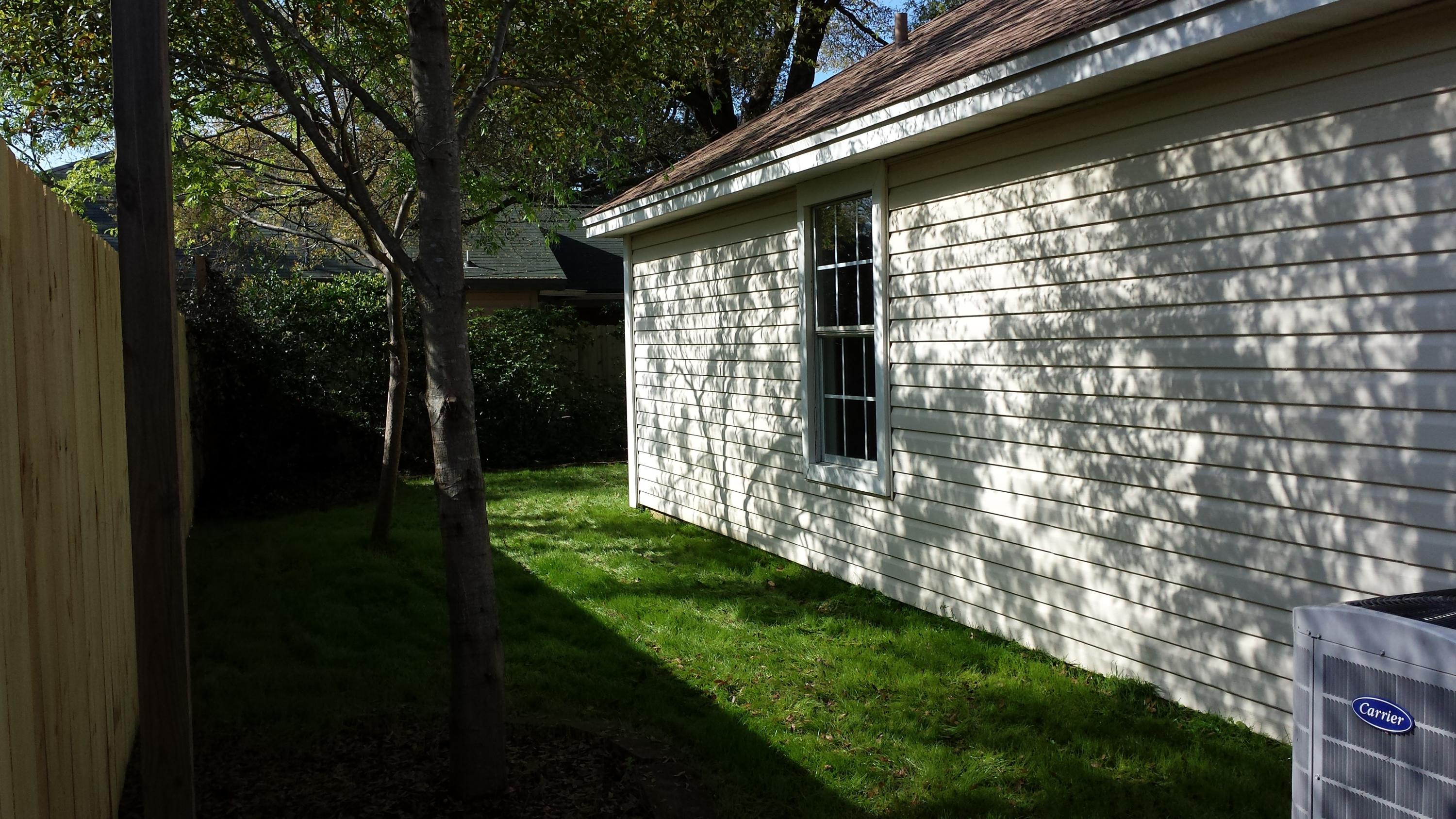 SUMMER TREE - Residential