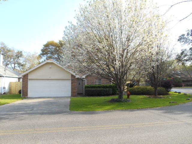 SUMMER TREE - Residential