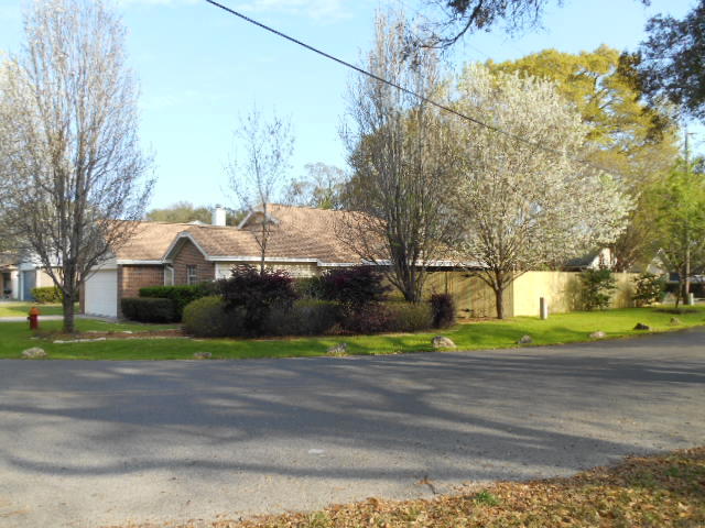 SUMMER TREE - Residential